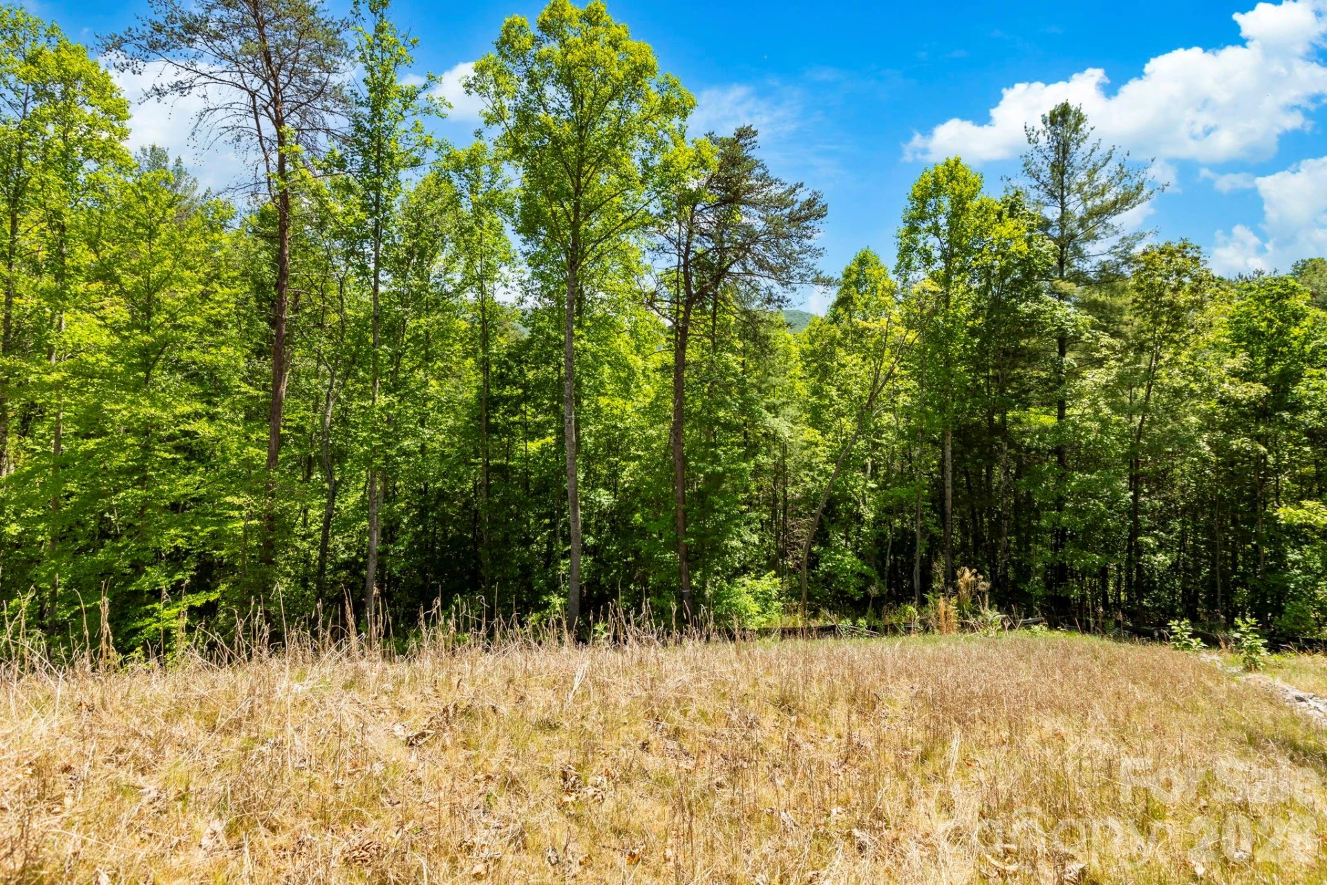 151 Riverbend Forest Drive - Photo 19