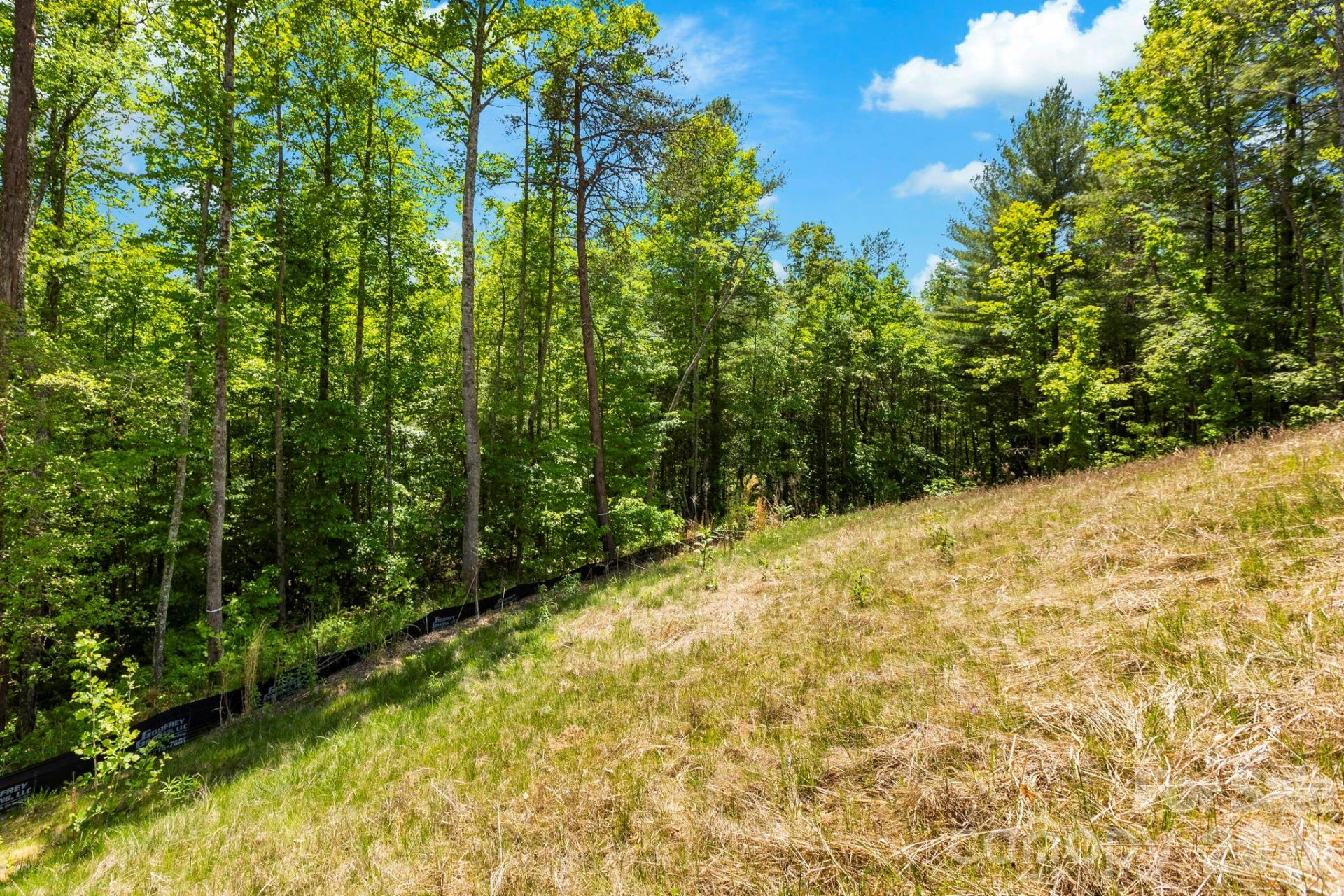 151 Riverbend Forest Drive - Photo 20