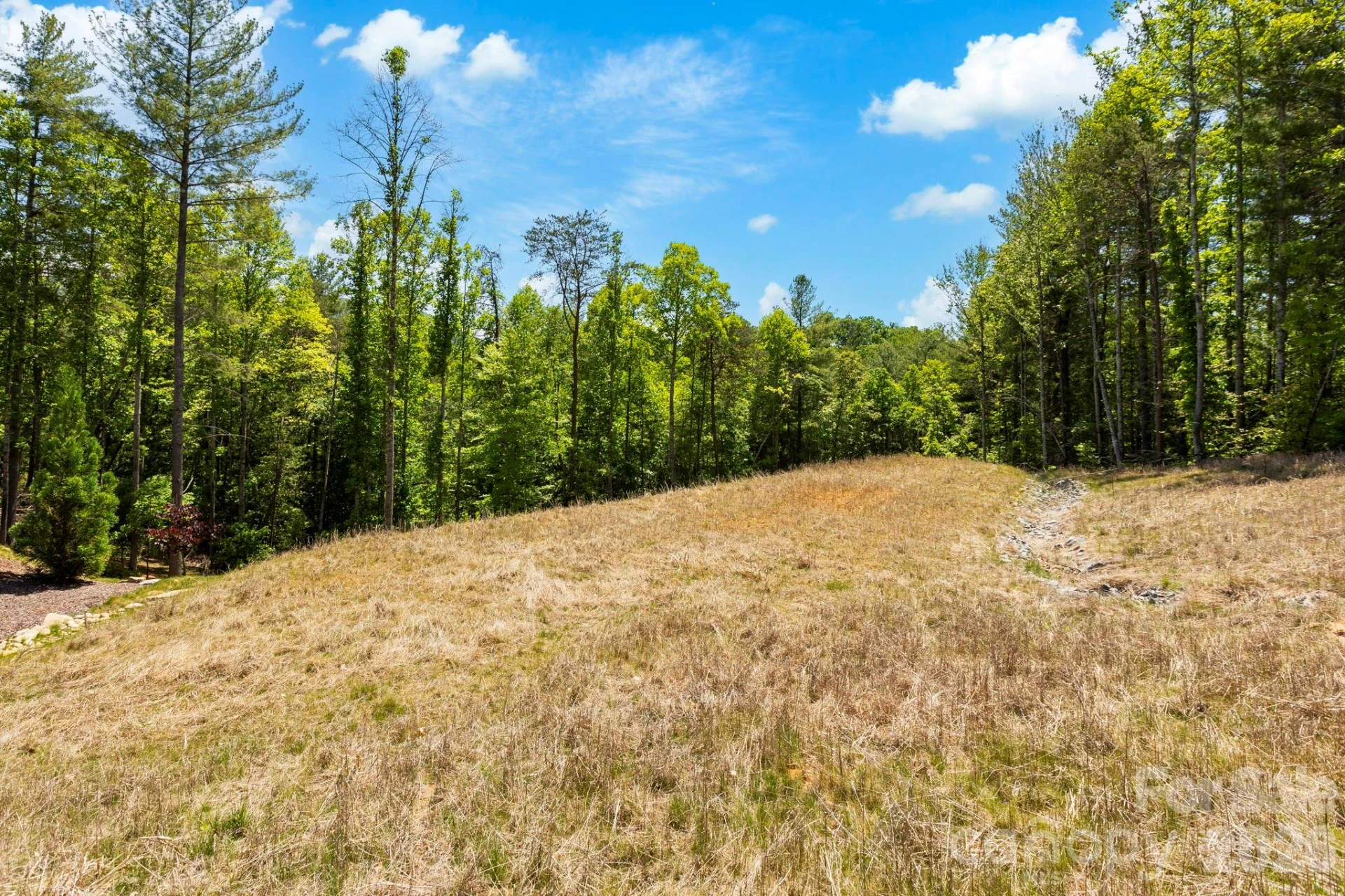 151 Riverbend Forest Drive - Photo 22