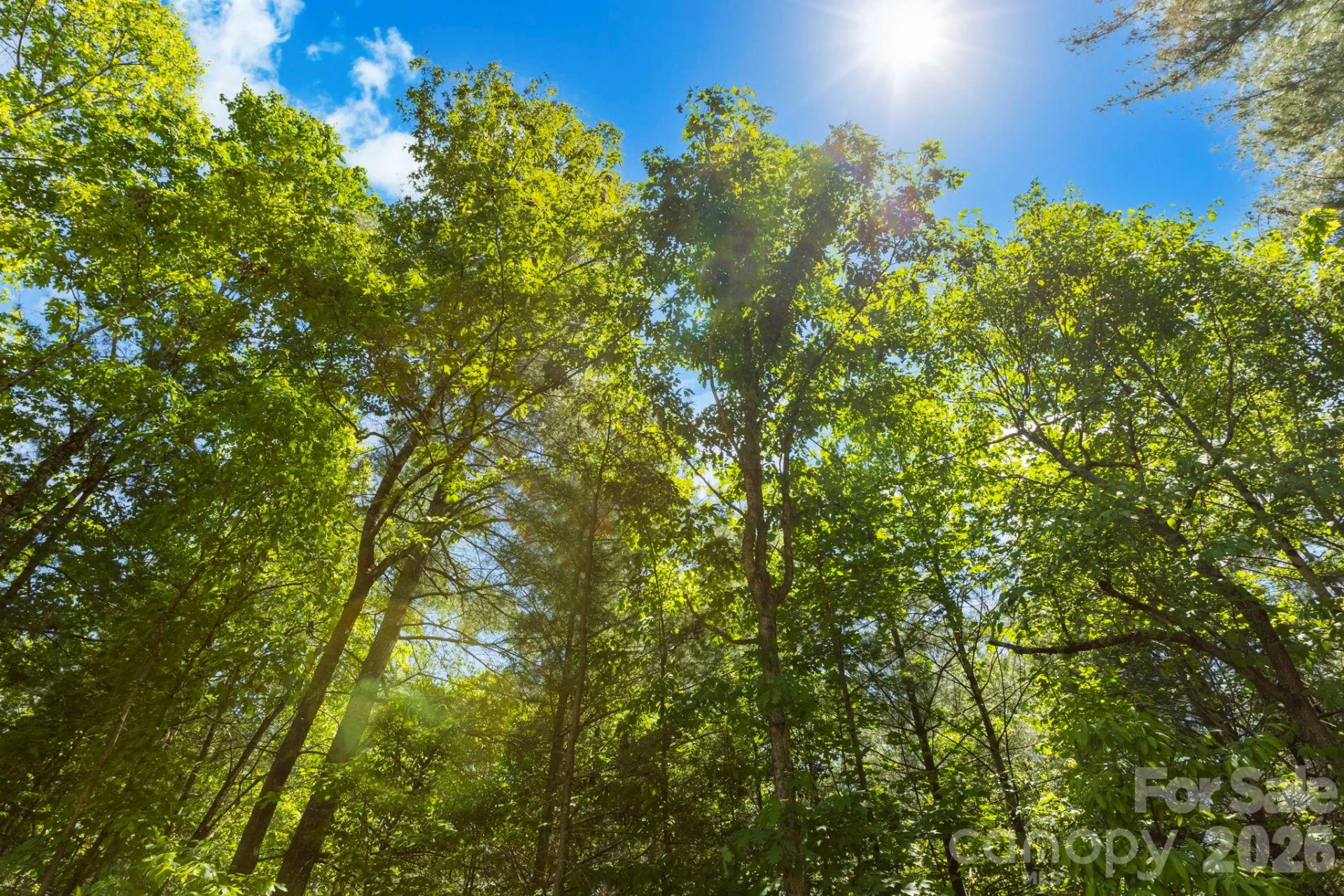 151 Riverbend Forest Drive - Photo 23