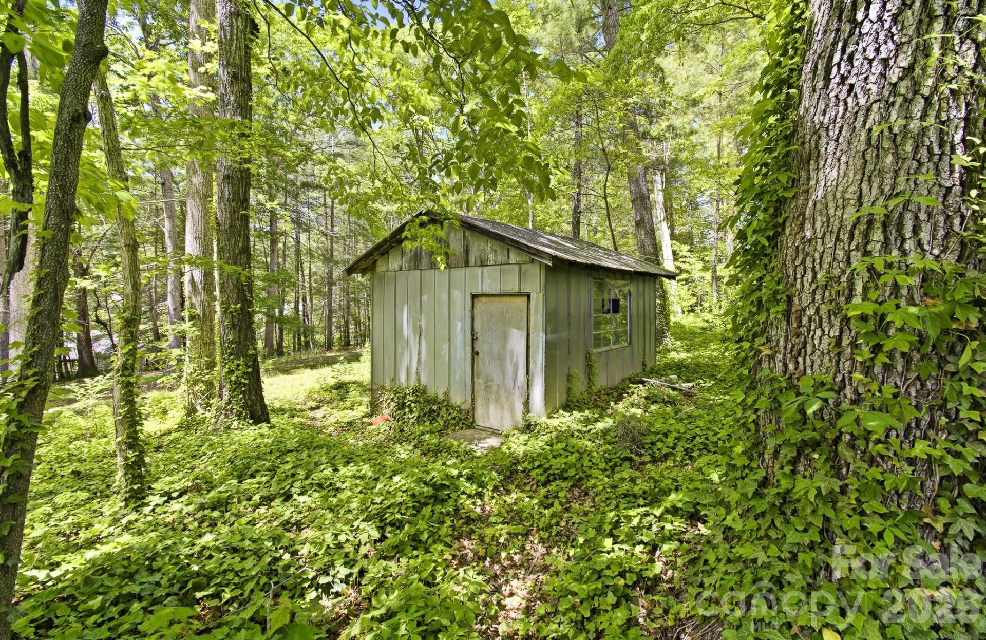 20 Reed Road - Photo 35