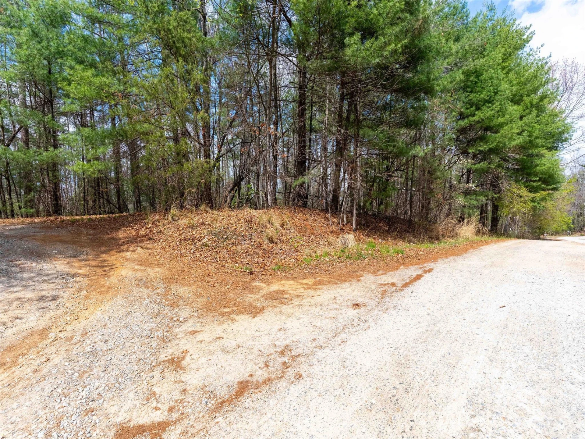 00 E Hilltop Drive #13B - Photo 4