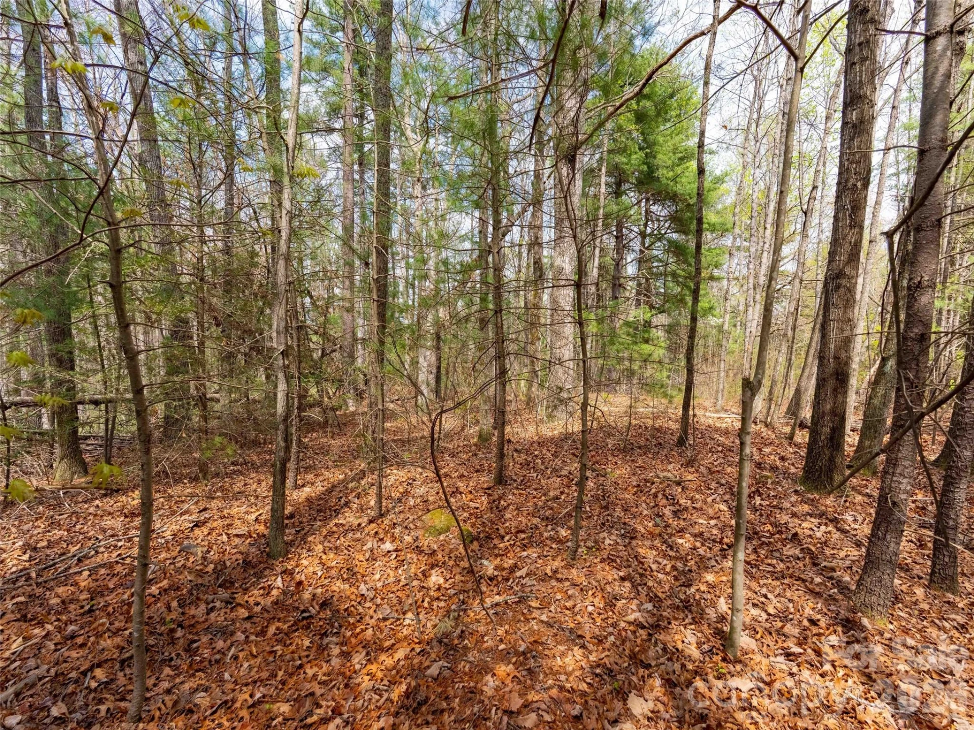 00 E Hilltop Drive #13B - Photo 5