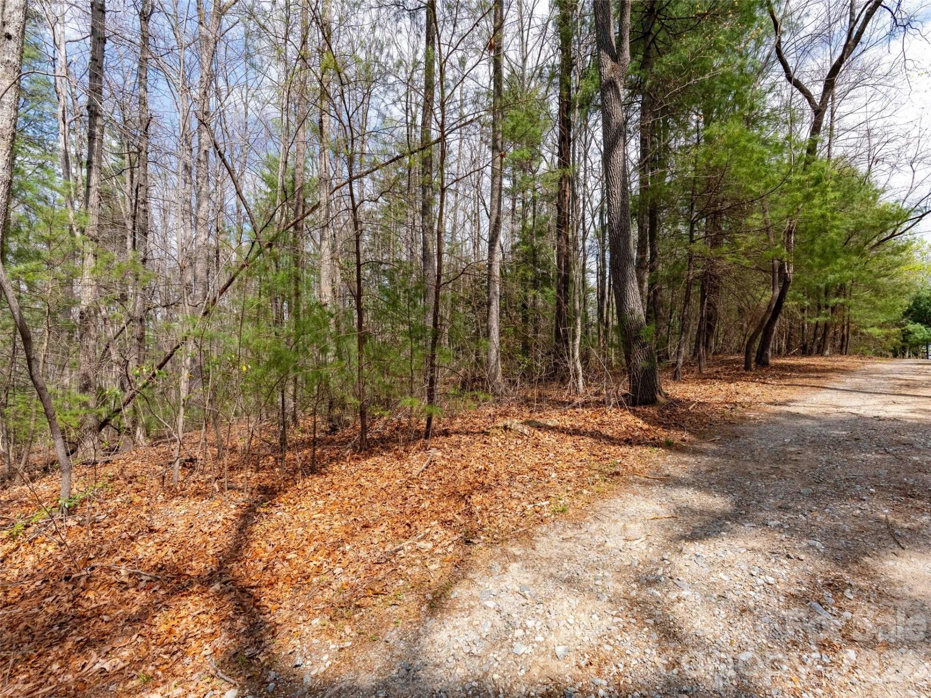 00 E Hilltop Drive #13B - Photo 6