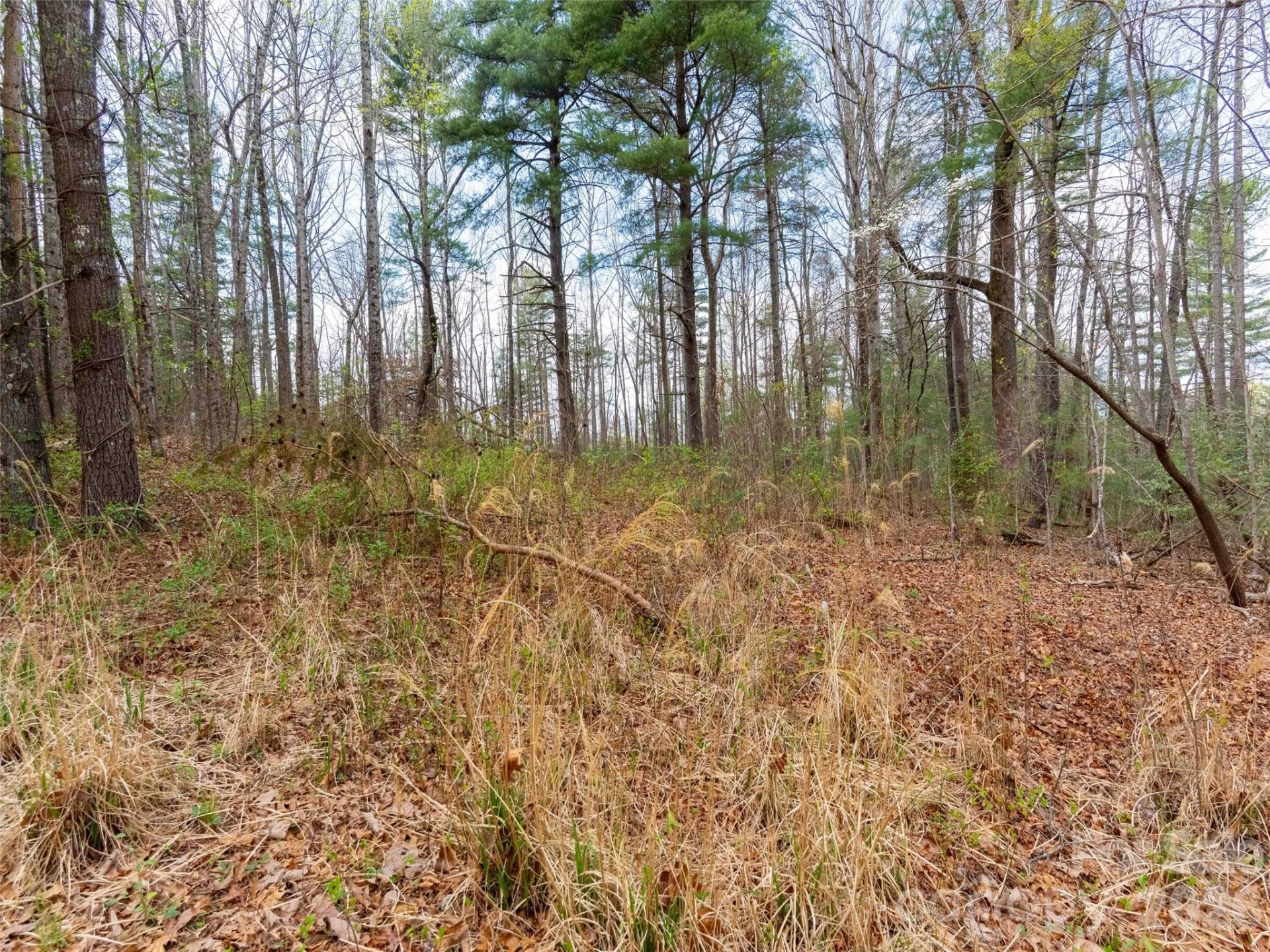00 E Hilltop Drive #13B - Photo 7