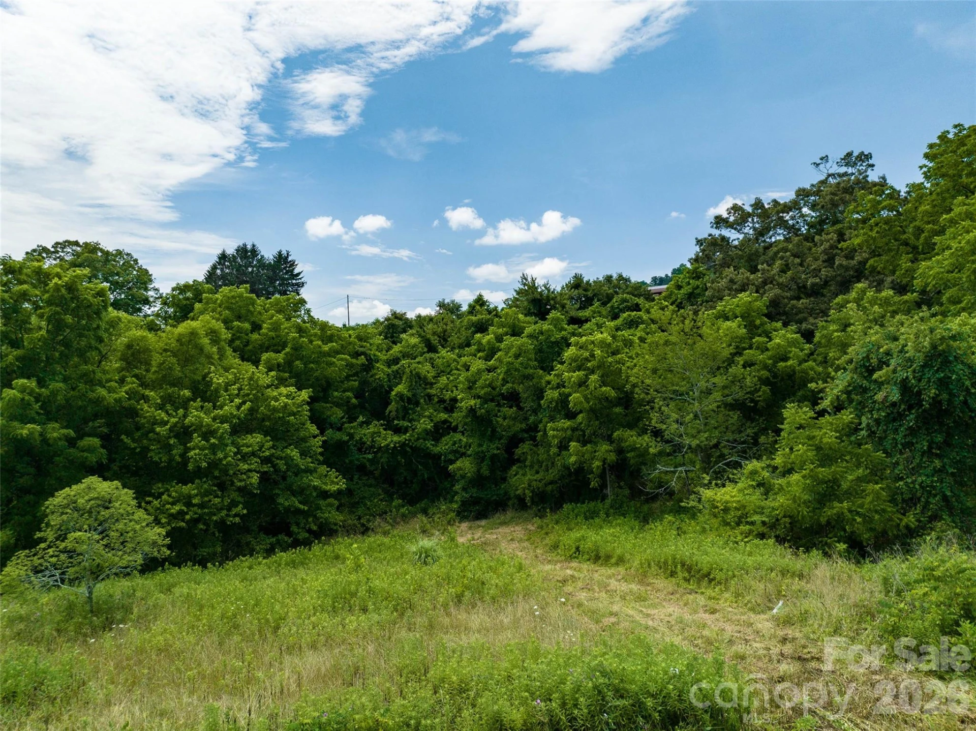 99999 US 70 Highway - Photo 2