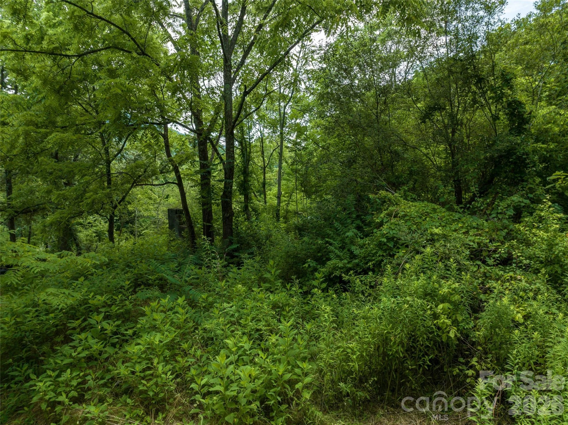 99999 US 70 Highway - Photo 17