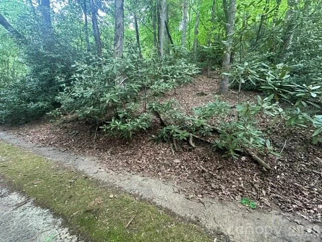 TBD Glen Cannon Drive, Pisgah Forest, NC, 28768
