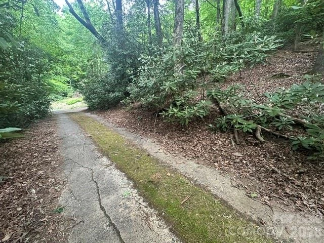 TBD Glen Cannon Drive #5-B - Photo 3