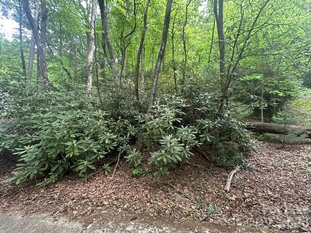 TBD Glen Cannon Drive #5-B - Photo 4