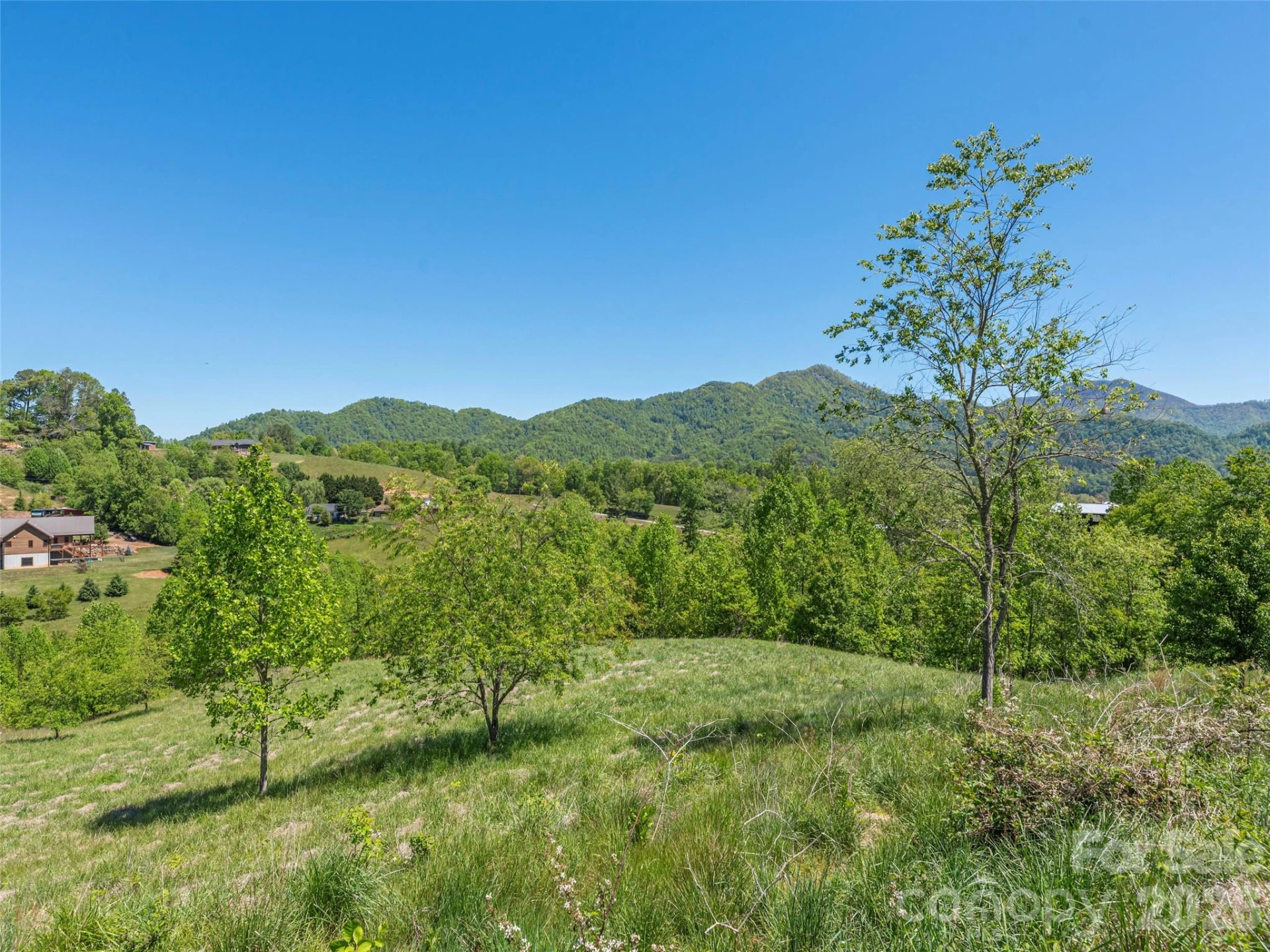 0000 Inheritance Mountain Road - Photo 2