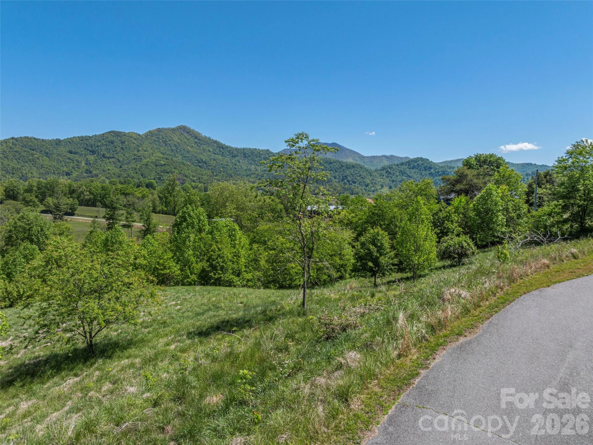 0000 Inheritance Mountain Road - Photo 16