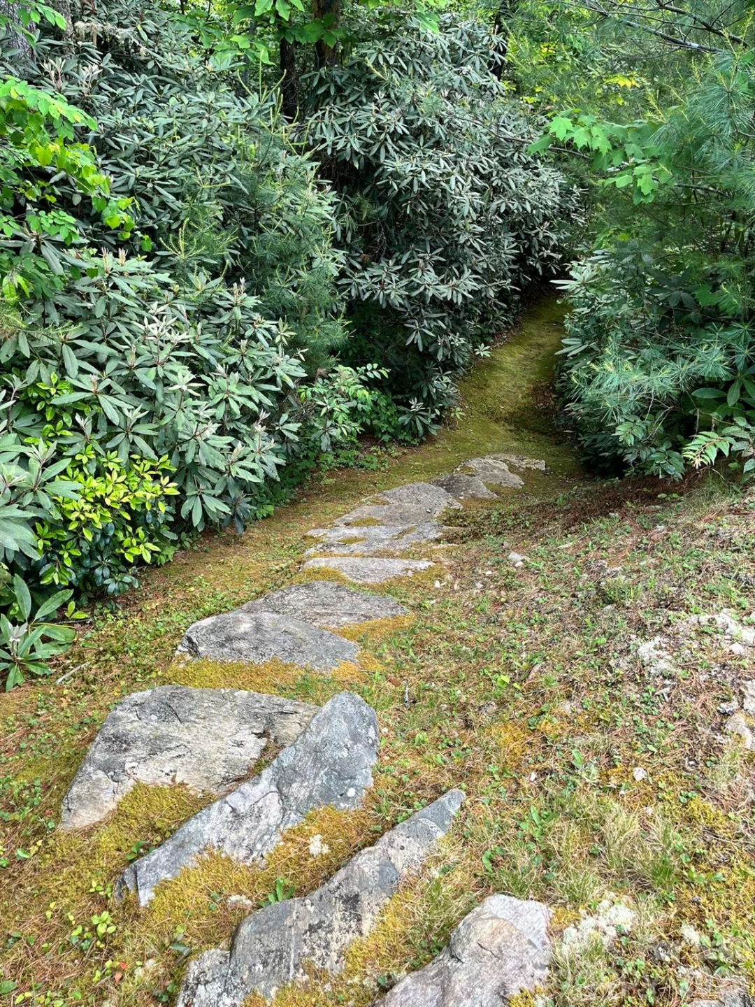 Lot 90 Peppervine Circle #90 - Photo 25