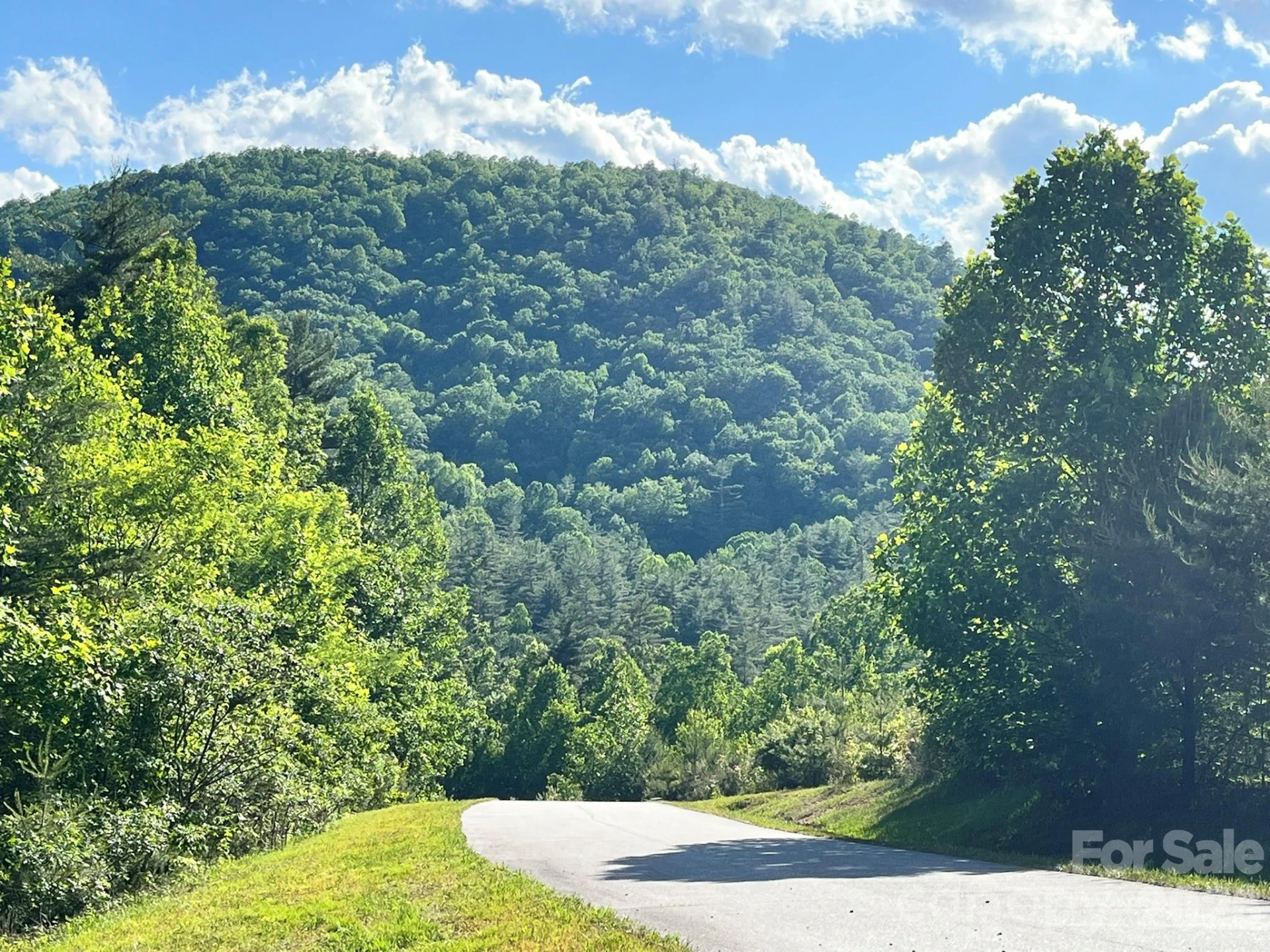 Lot 90 Peppervine Circle #90 - Photo 35
