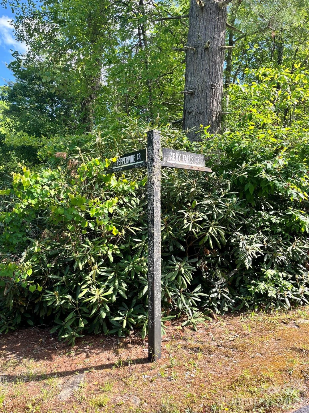 Lot 90 Peppervine Circle #90 - Photo 36