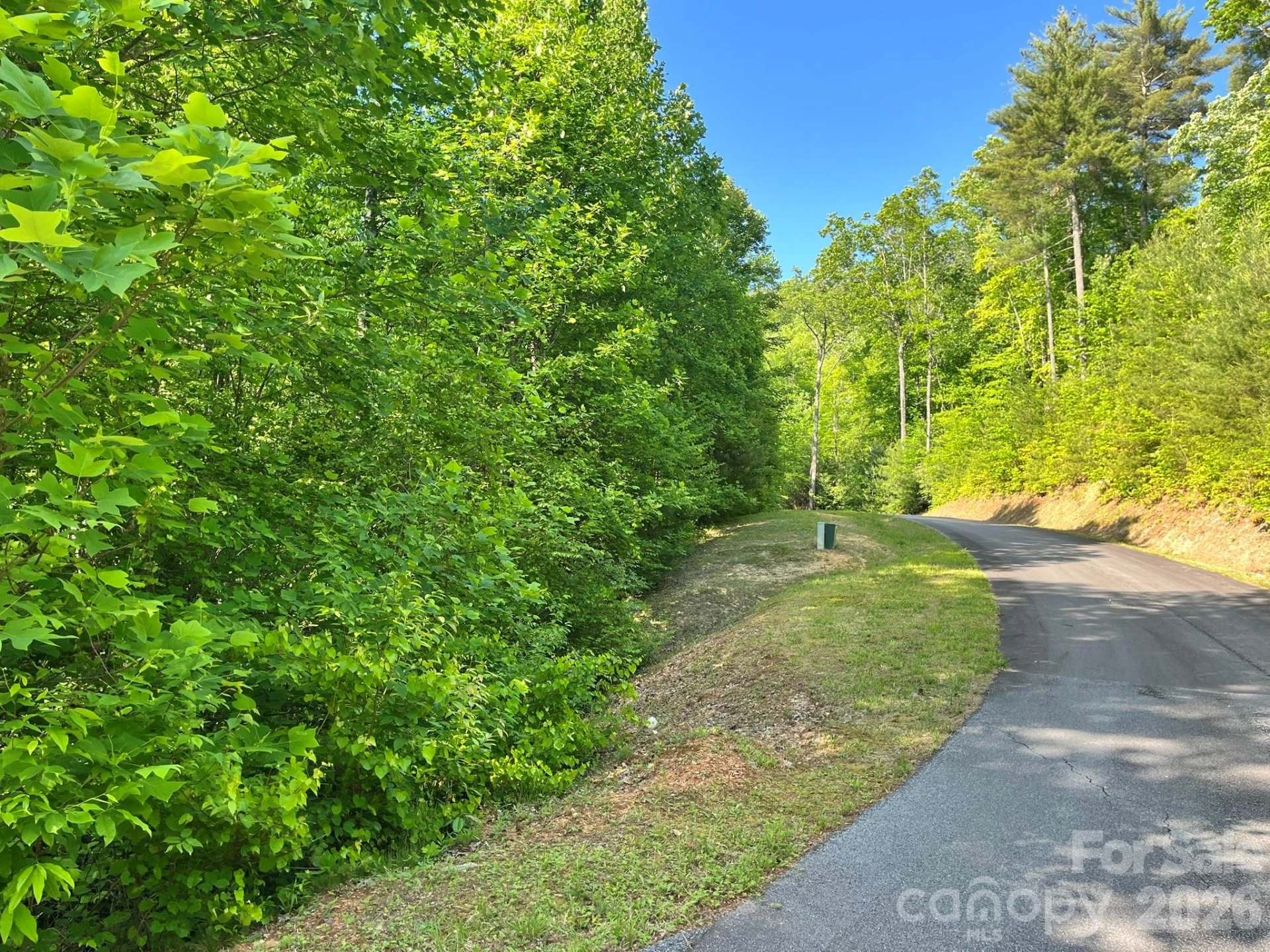 Lot 90 Peppervine Circle #90 - Photo 37