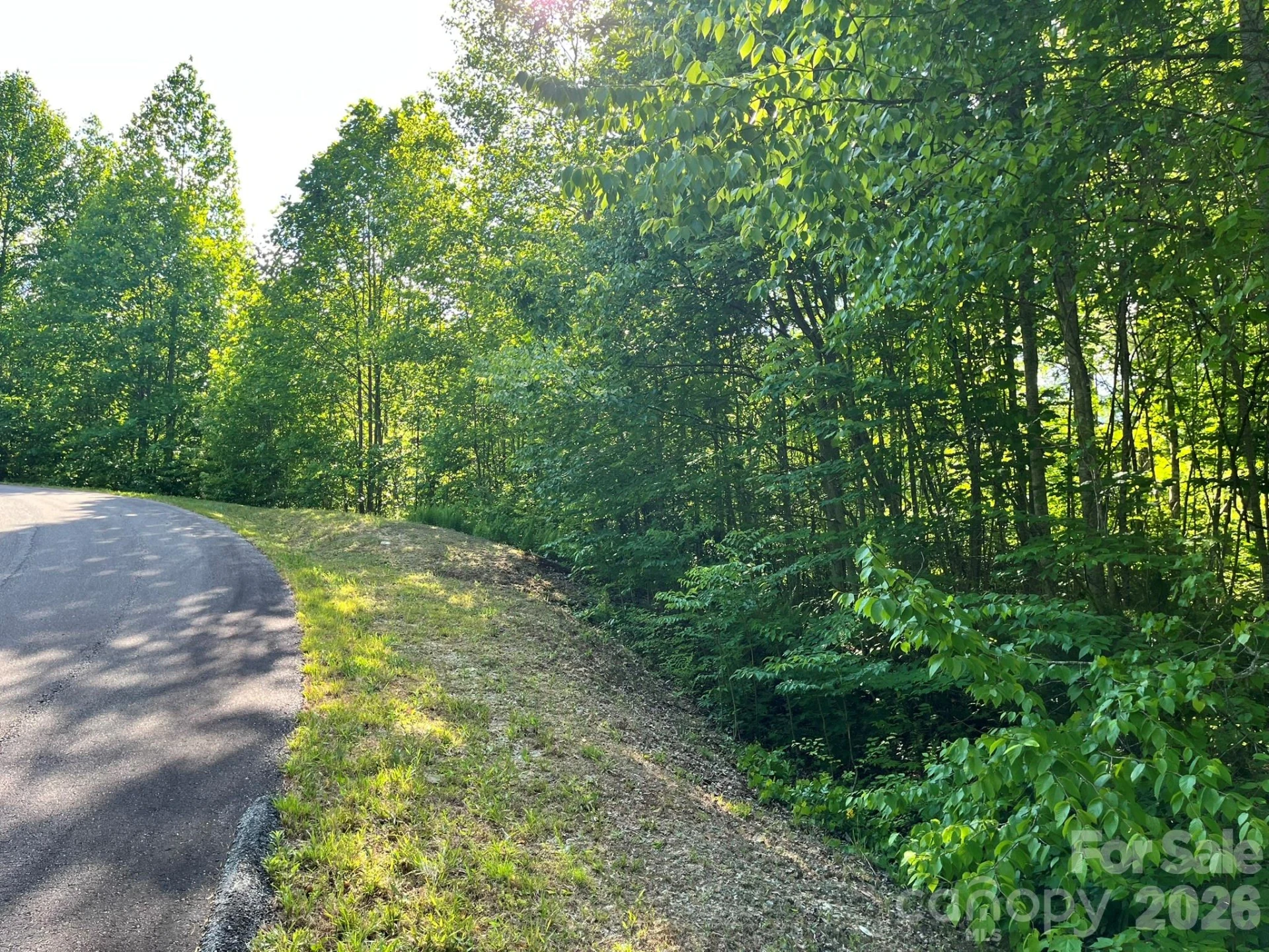 Lot 90 Peppervine Circle #90 - Photo 38