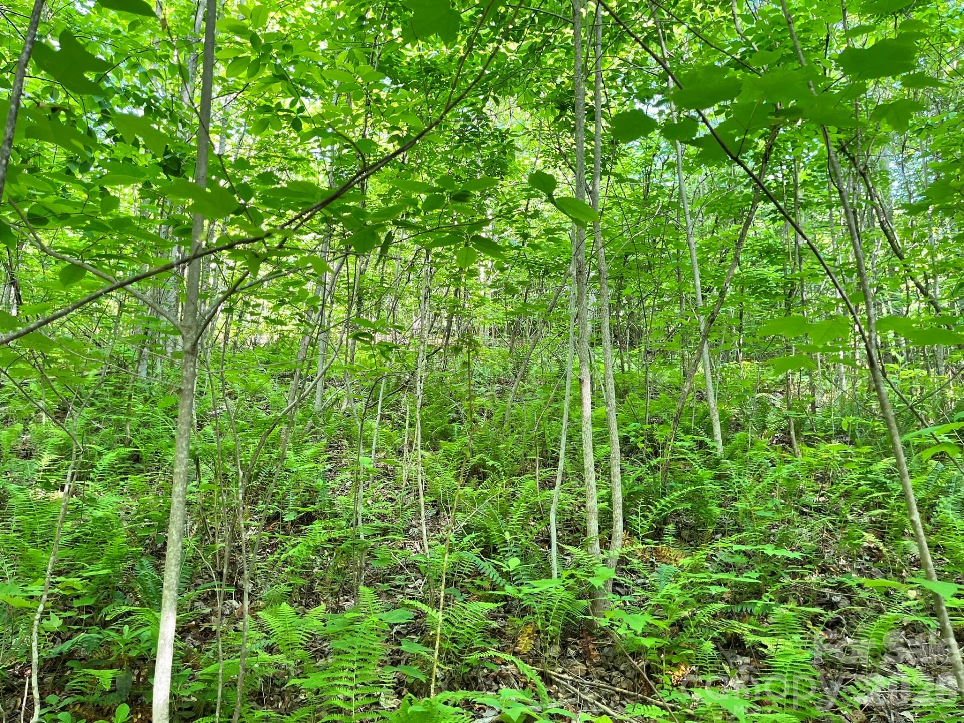 Lot 90 Peppervine Circle #90 - Photo 40
