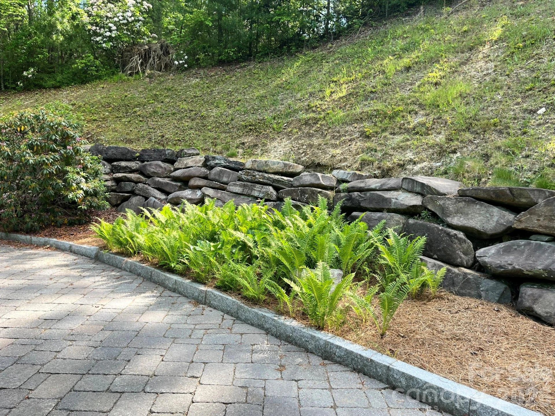 Lot 90 Peppervine Circle #90 - Photo 3