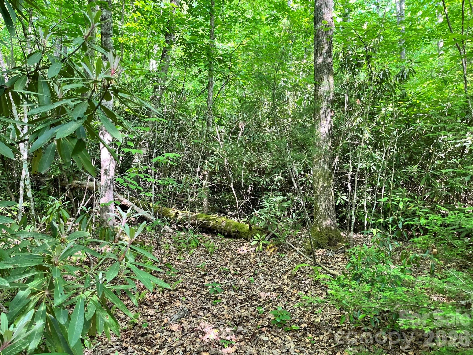 Lot 90 Peppervine Circle #90 - Photo 41