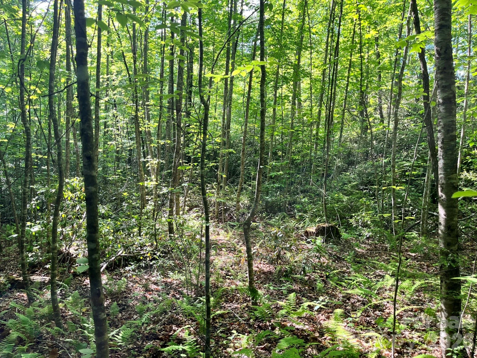 Lot 90 Peppervine Circle #90 - Photo 42