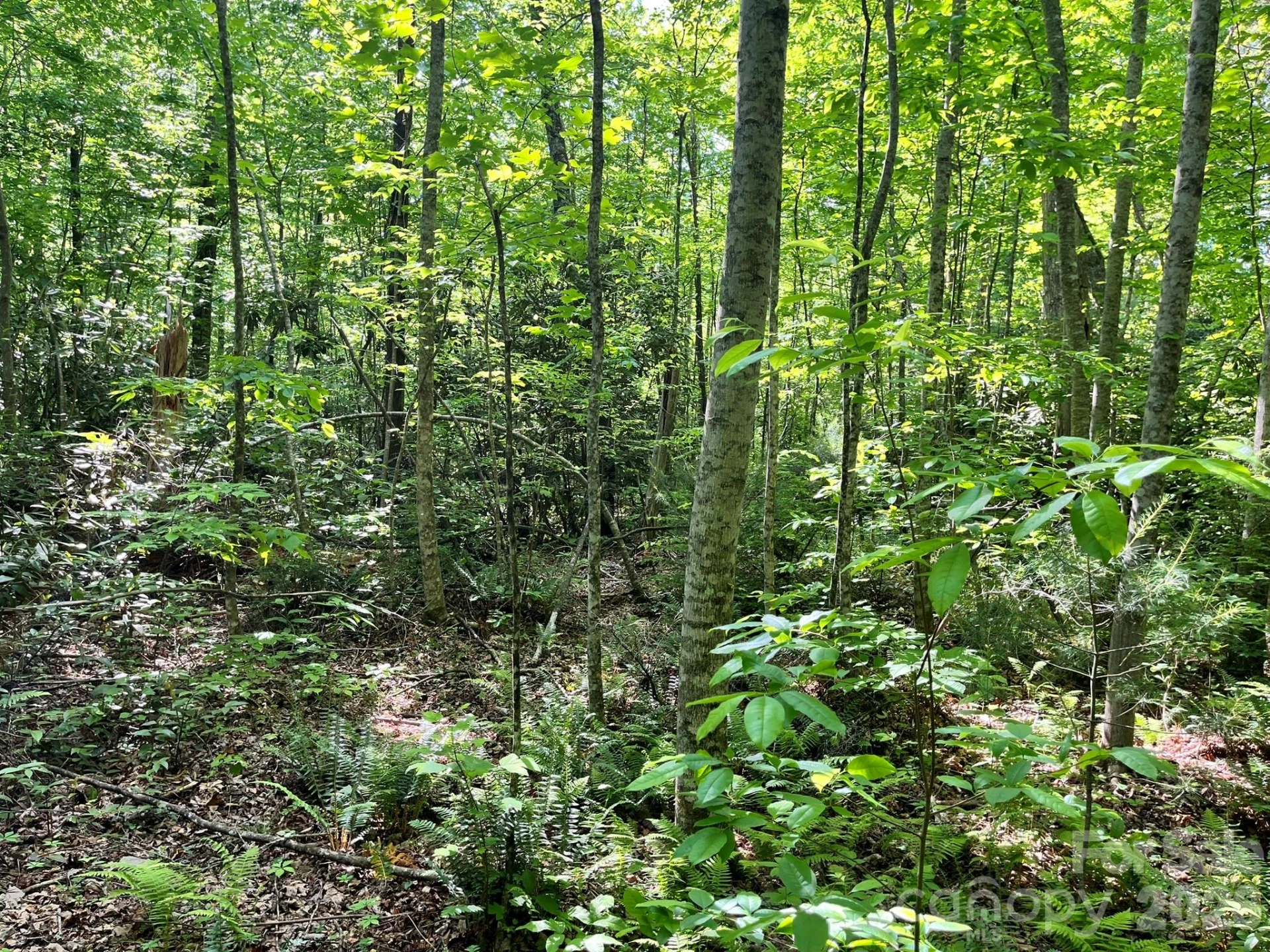 Lot 90 Peppervine Circle #90 - Photo 44