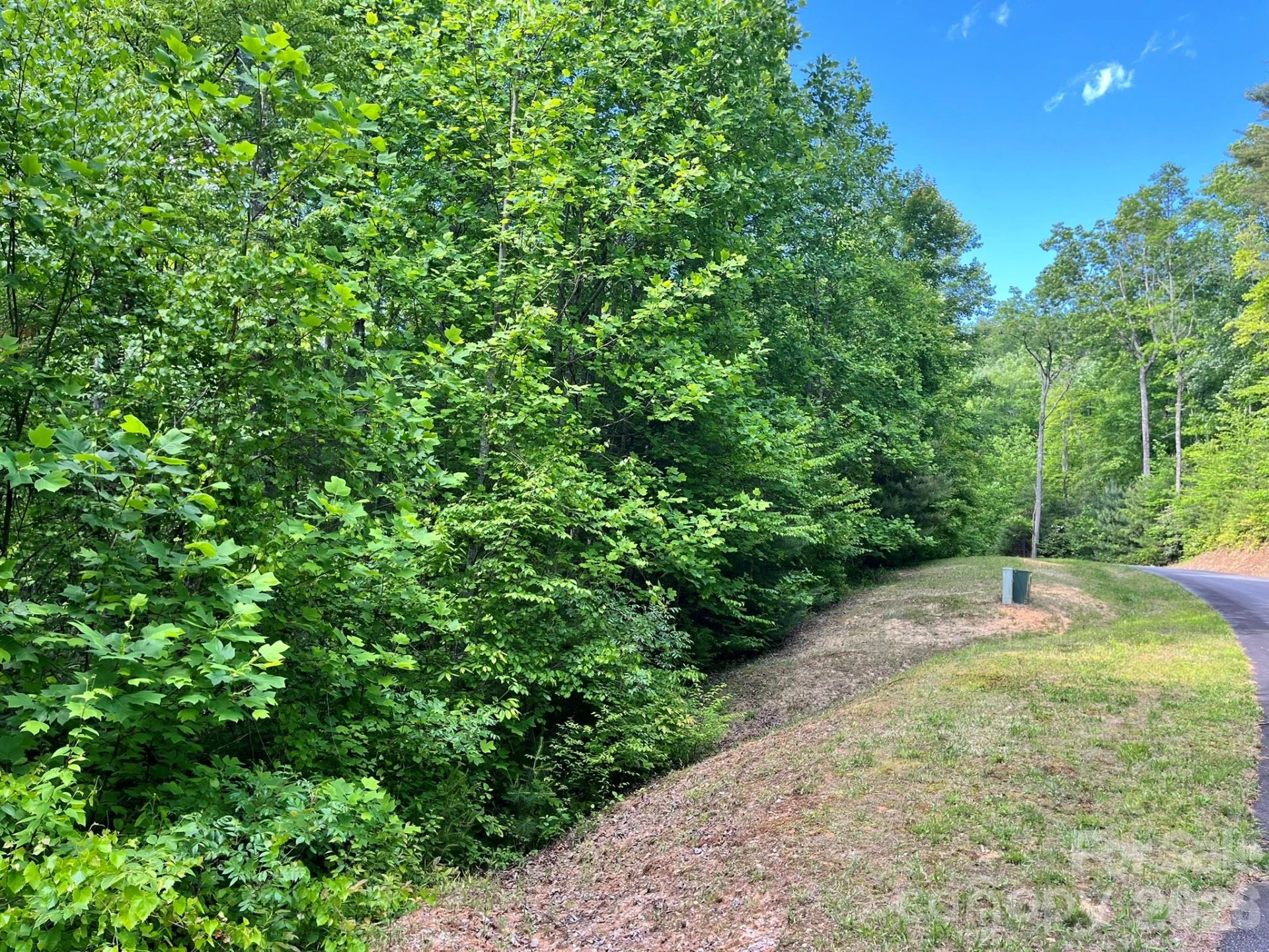 Lot 90 Peppervine Circle #90 - Photo 47