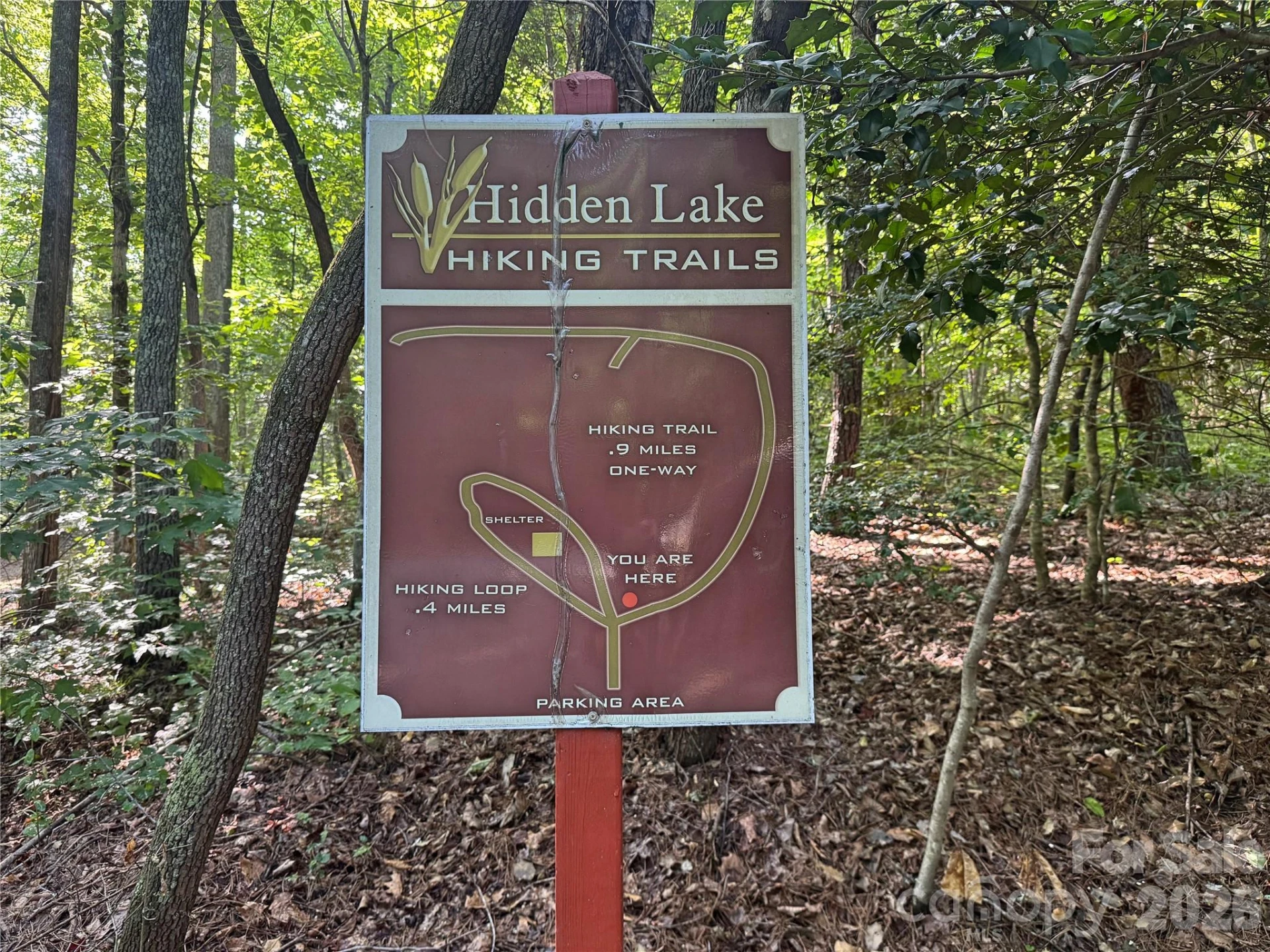 584 Clear Spring Trail #61 - Photo 36