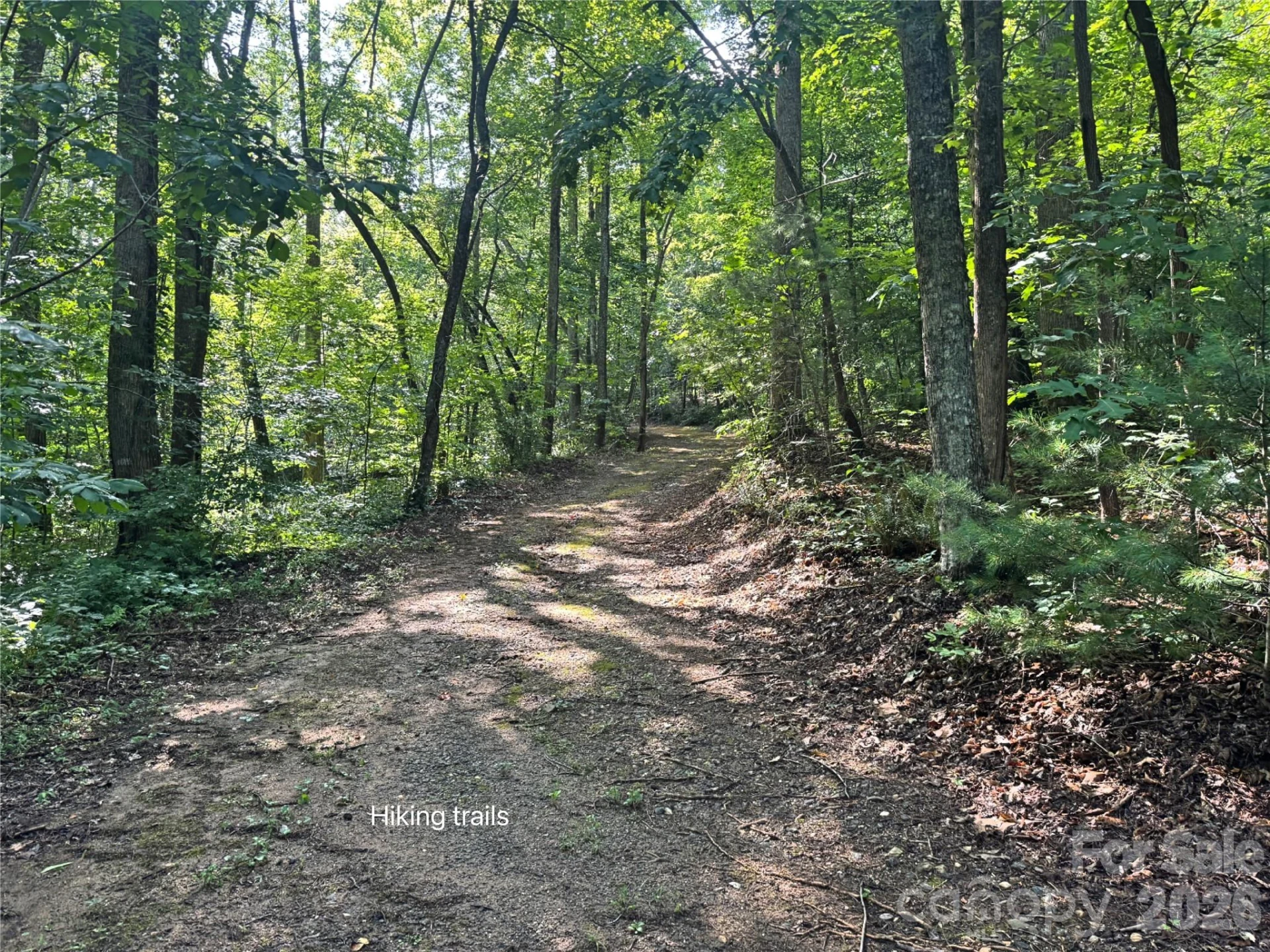 584 Clear Spring Trail #61 - Photo 37