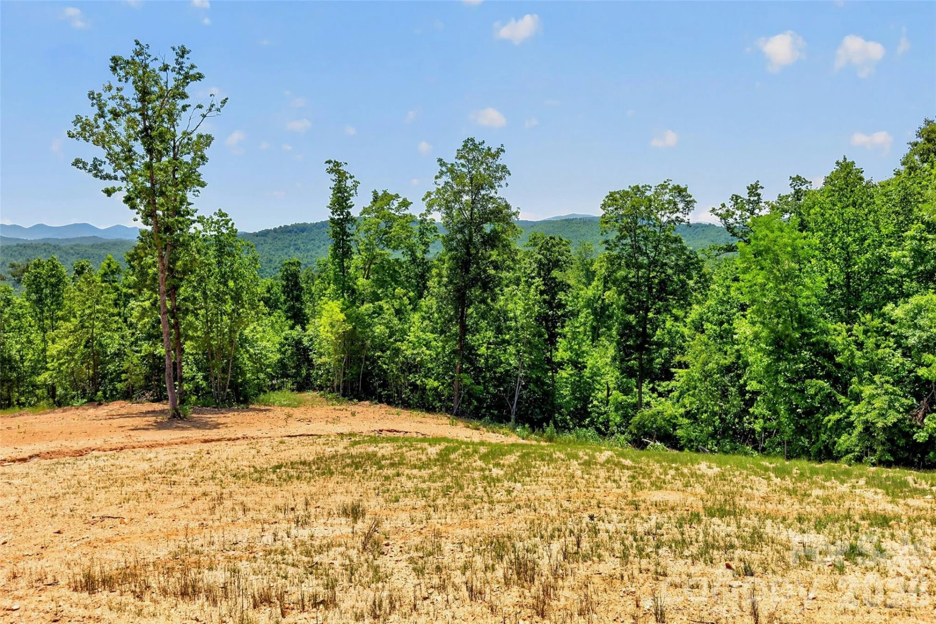 272 Randolph Drive - Photo 19