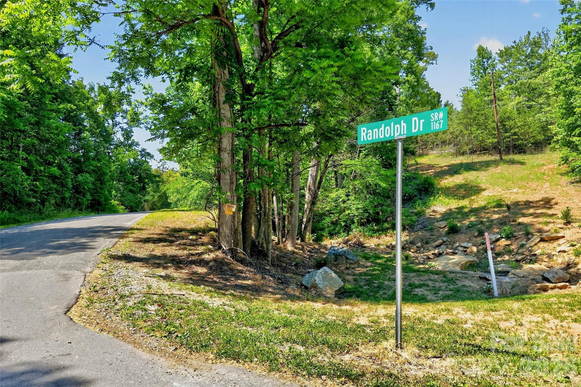 272 Randolph Drive - Photo 3