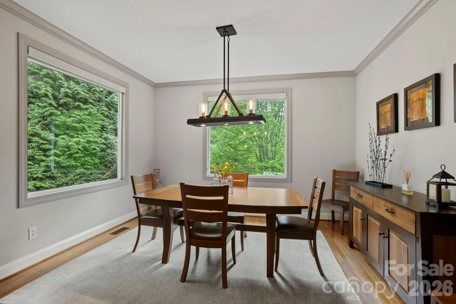 547 Pinnacle Peak Lane - Photo 6