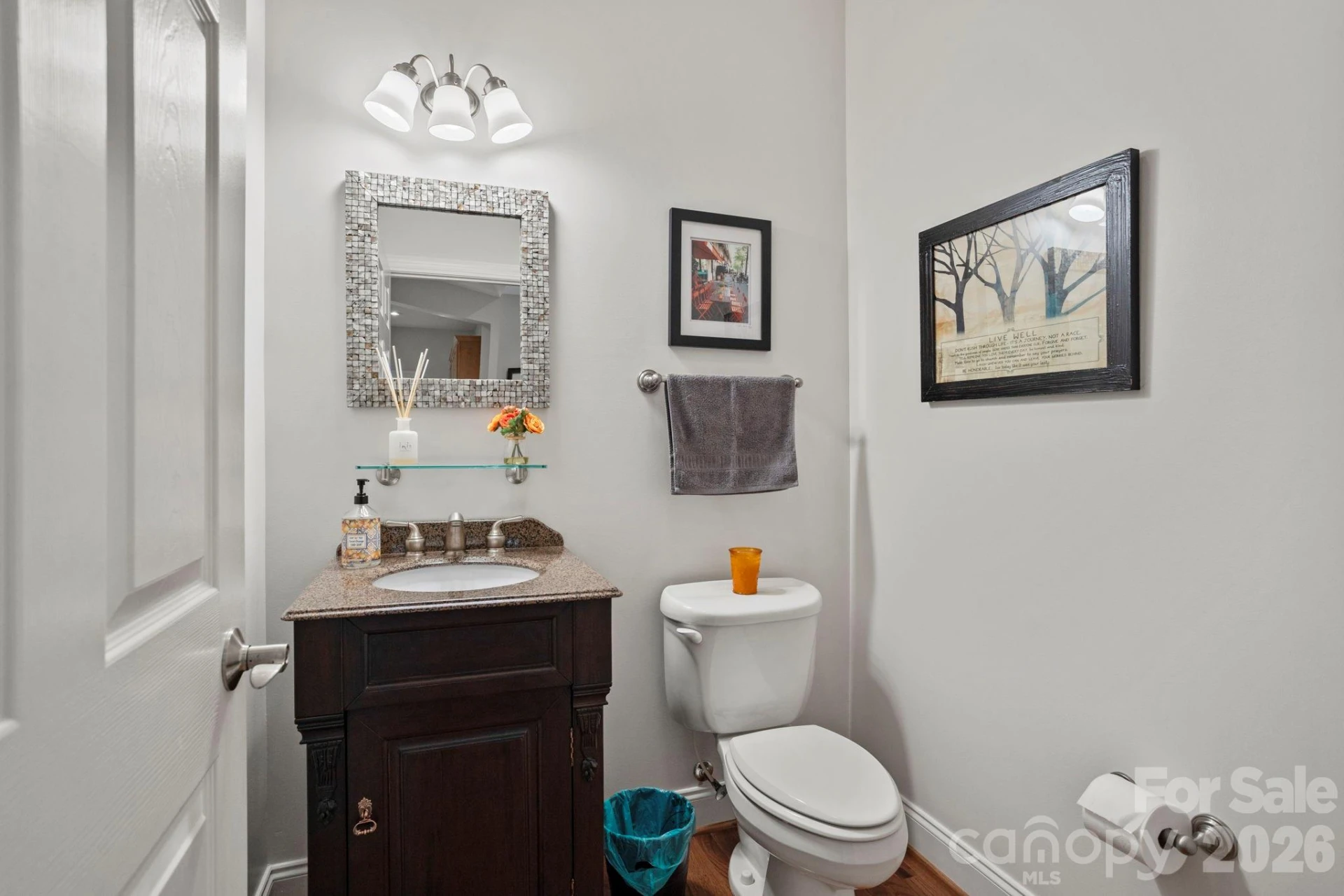 547 Pinnacle Peak Lane - Photo 8