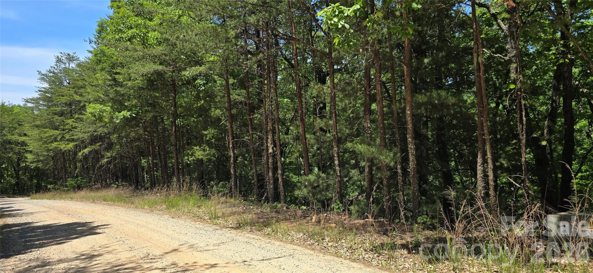 Lot 22B Pinnacle Parkway - Photo 2