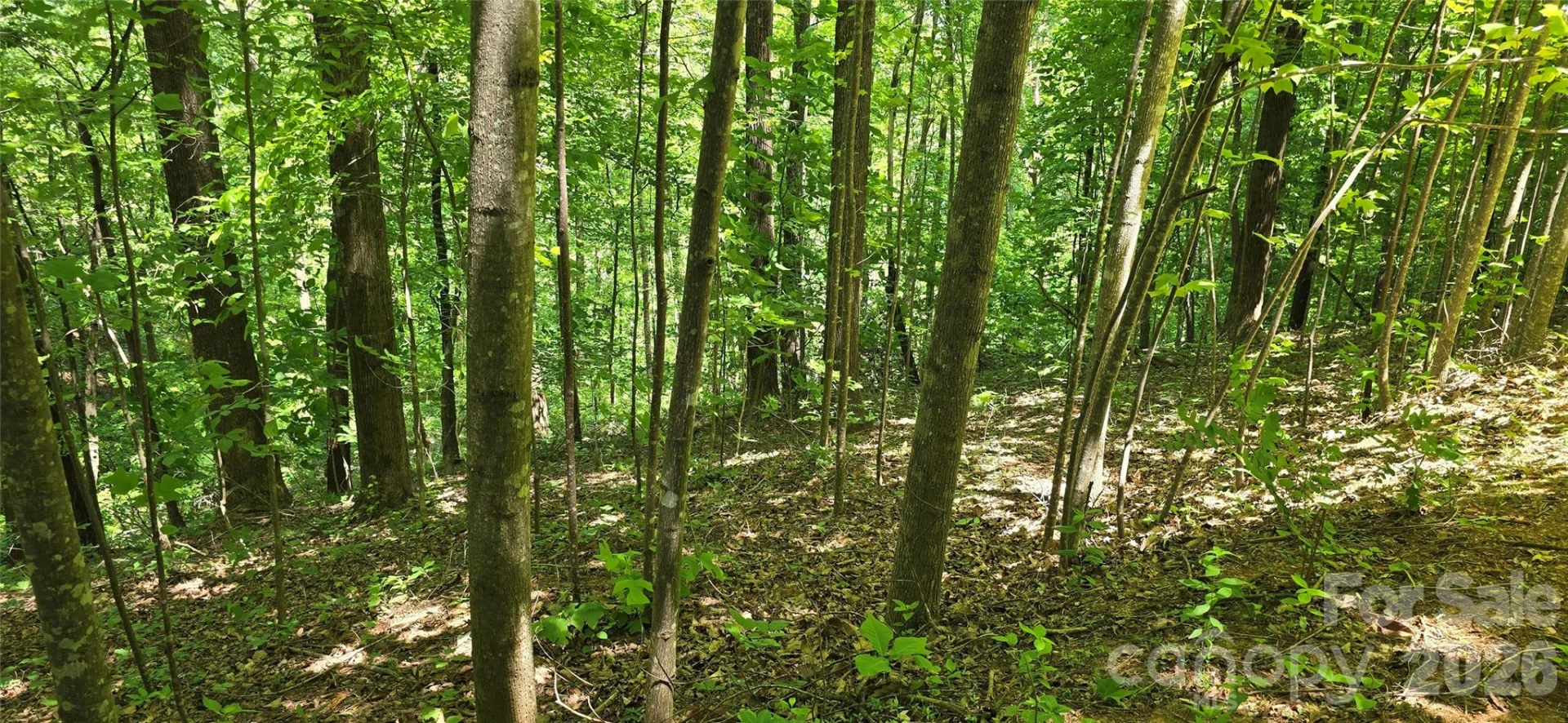 Lot 22B Pinnacle Parkway - Photo 11