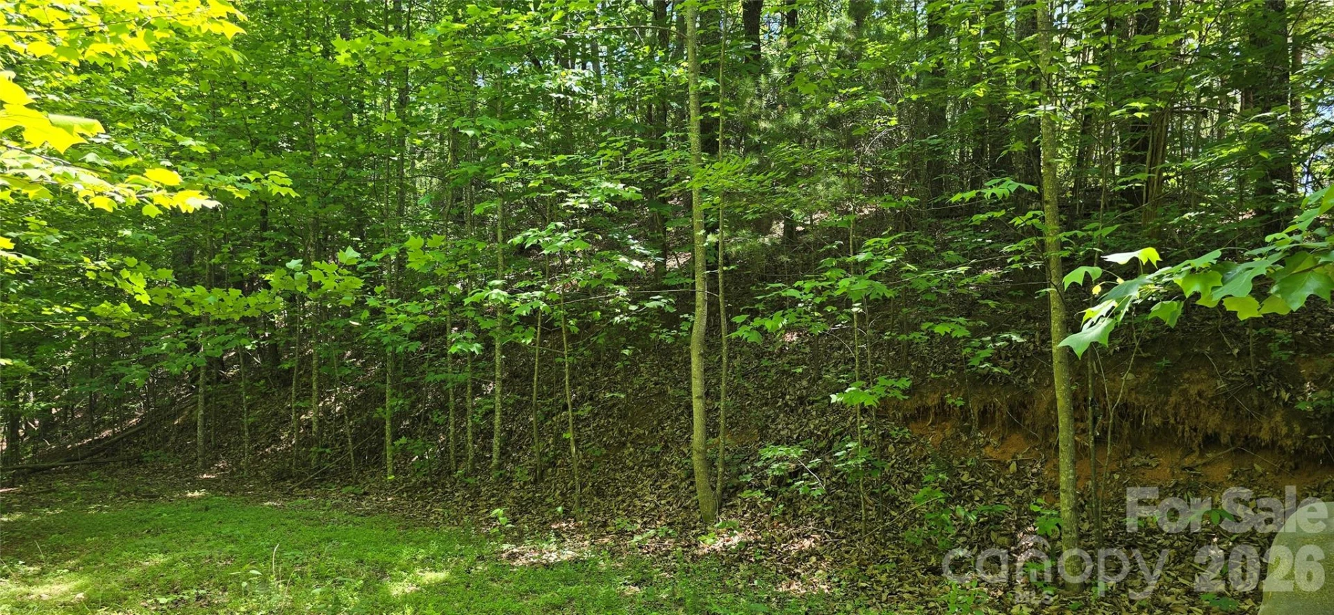 Lot 22B Pinnacle Parkway - Photo 12
