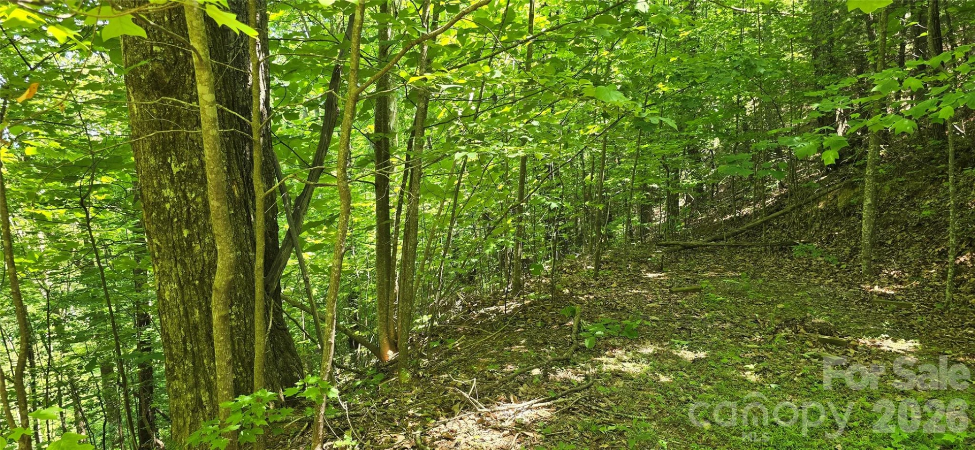 Lot 22B Pinnacle Parkway - Photo 13
