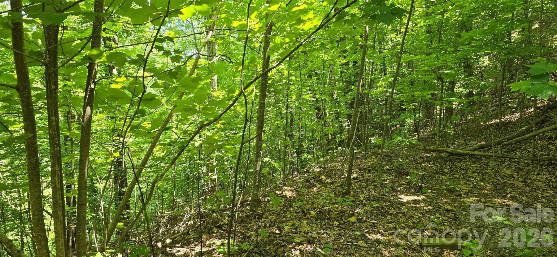 Lot 22B Pinnacle Parkway - Photo 14