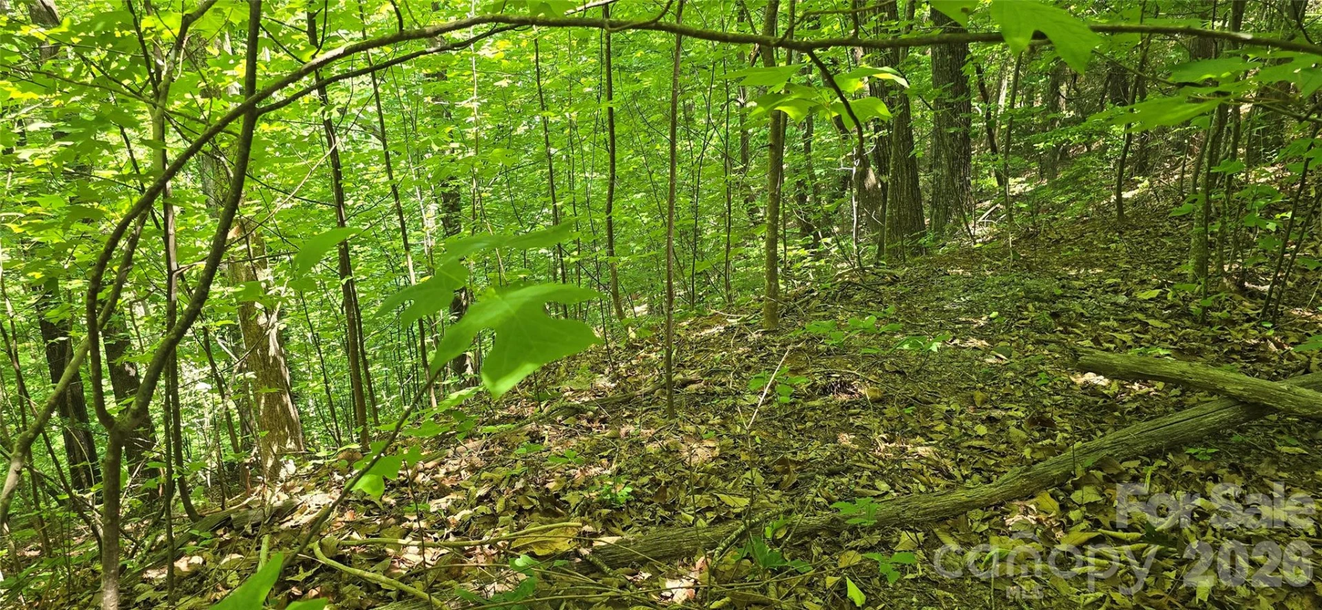 Lot 22B Pinnacle Parkway - Photo 15