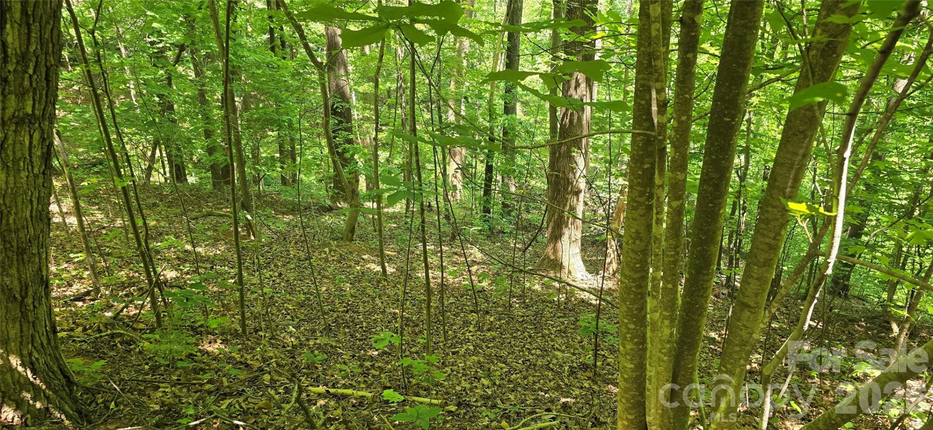 Lot 22B Pinnacle Parkway - Photo 16