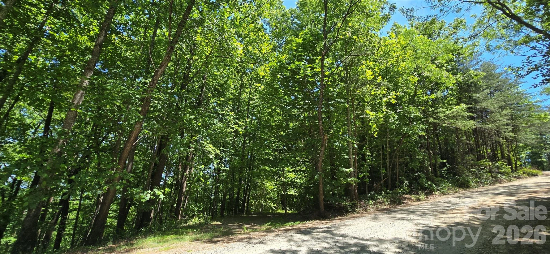 Lot 22B Pinnacle Parkway - Photo 18