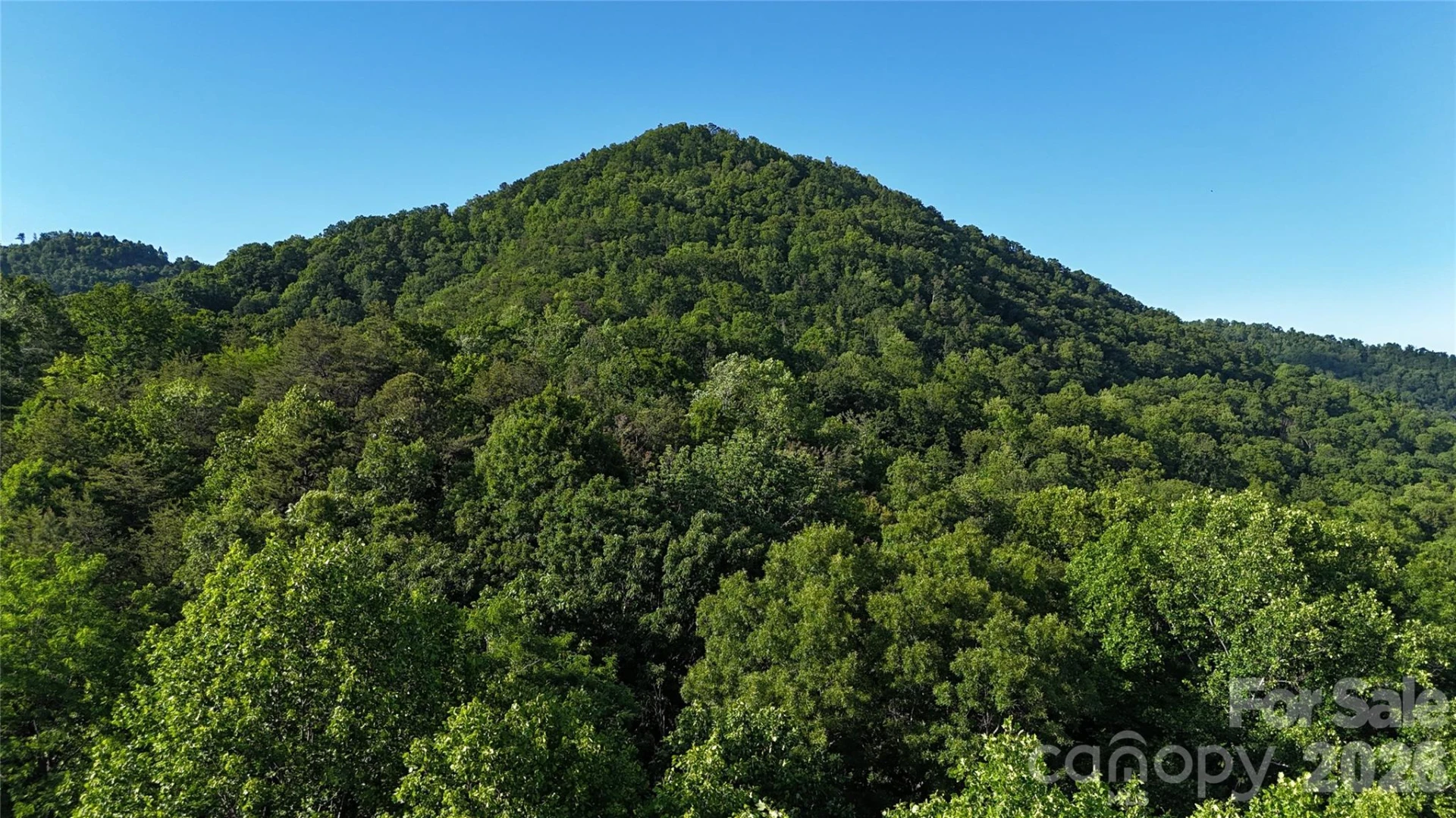 Lot 22B Pinnacle Parkway - Photo 19