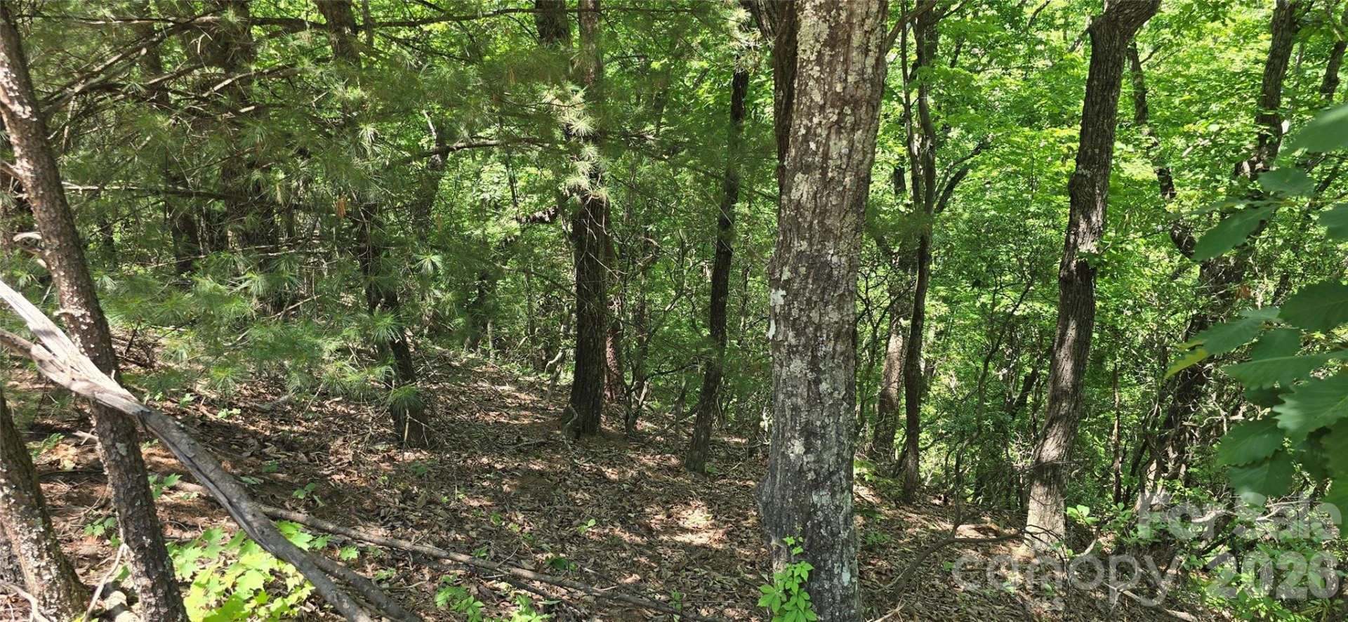 Lot 22B Pinnacle Parkway - Photo 3
