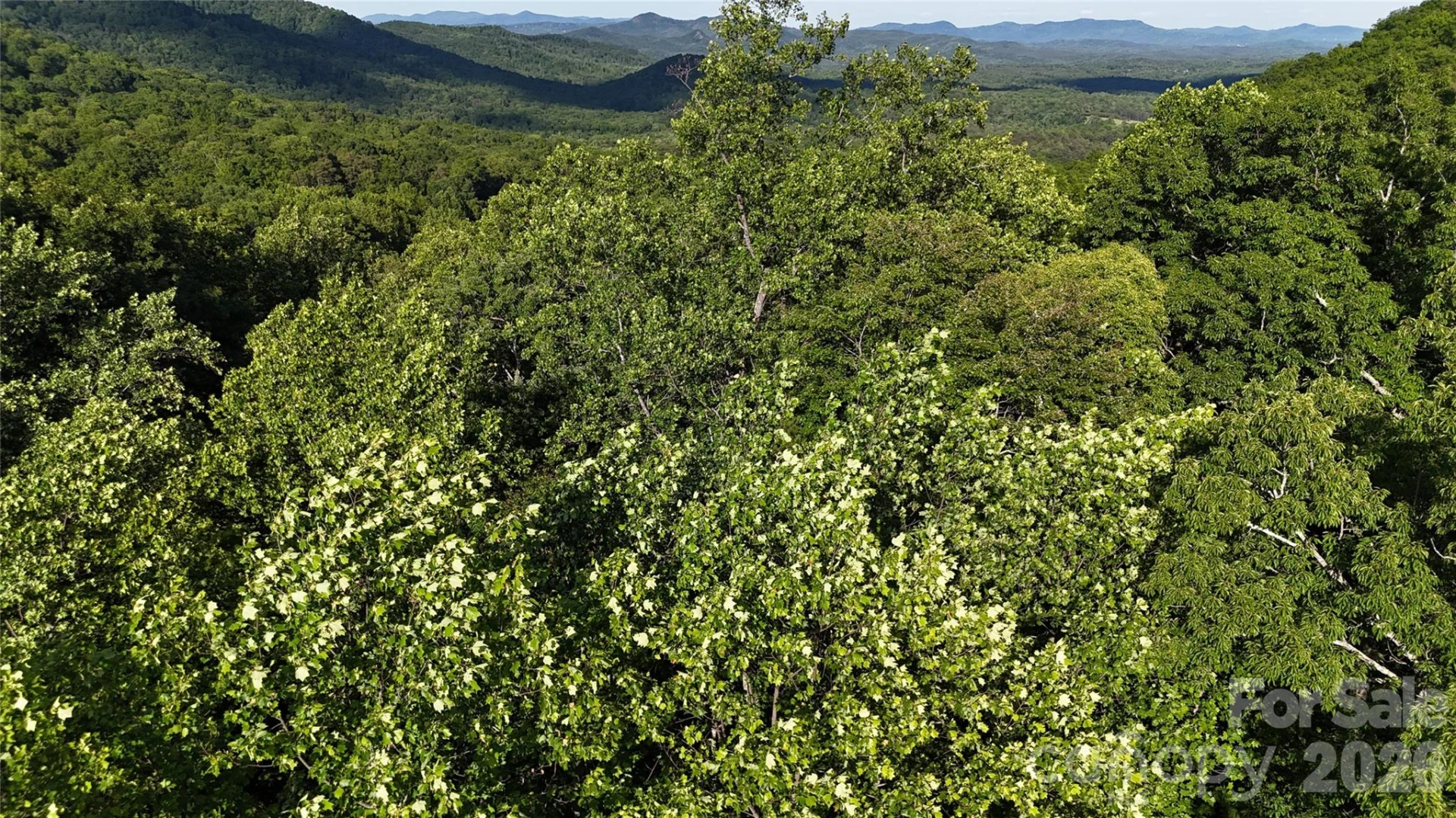Lot 22B Pinnacle Parkway - Photo 21