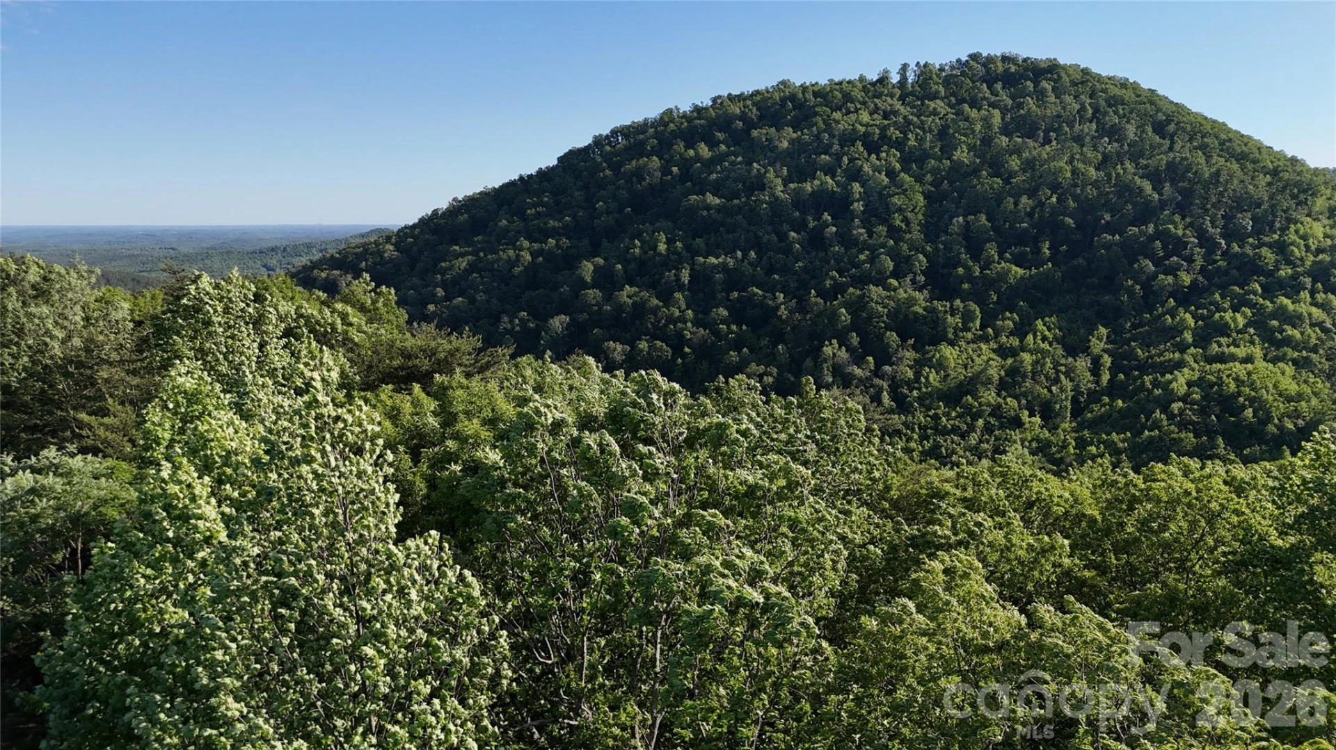 Lot 22B Pinnacle Parkway - Photo 22