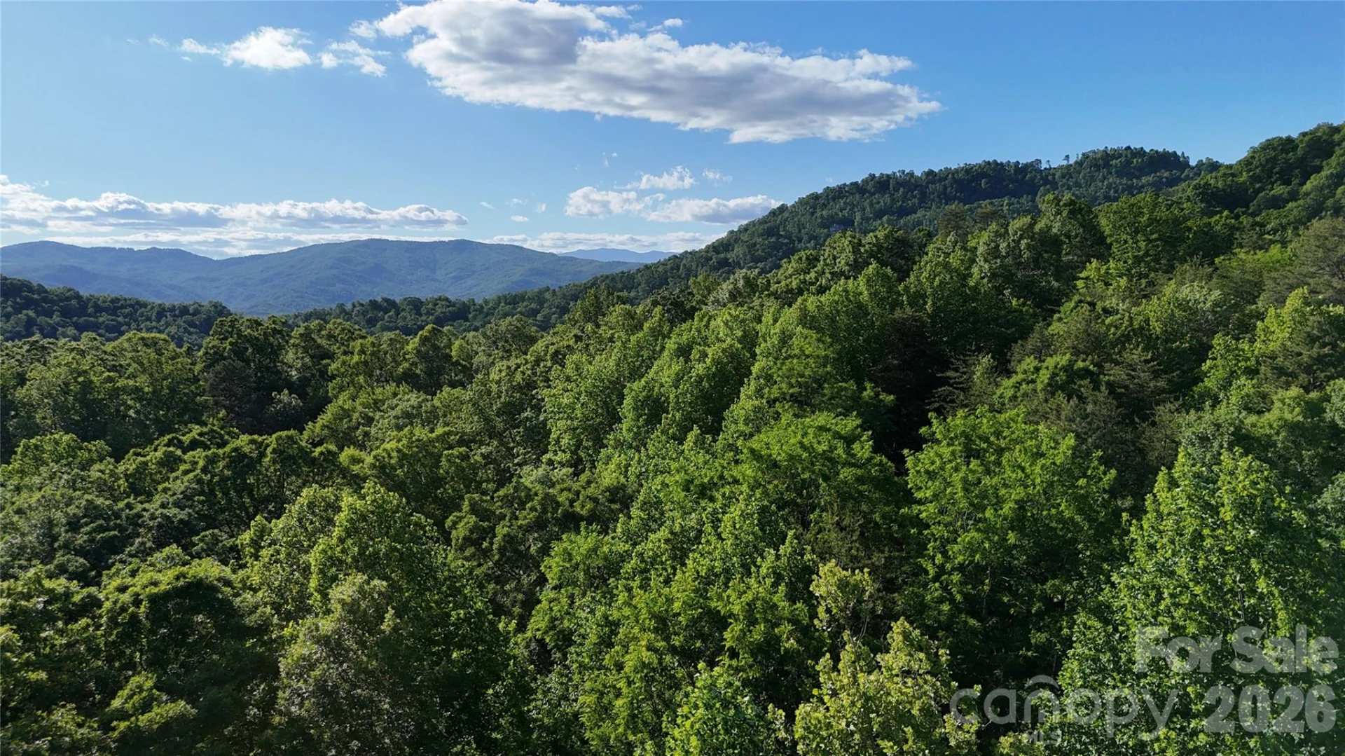 Lot 22B Pinnacle Parkway - Photo 24