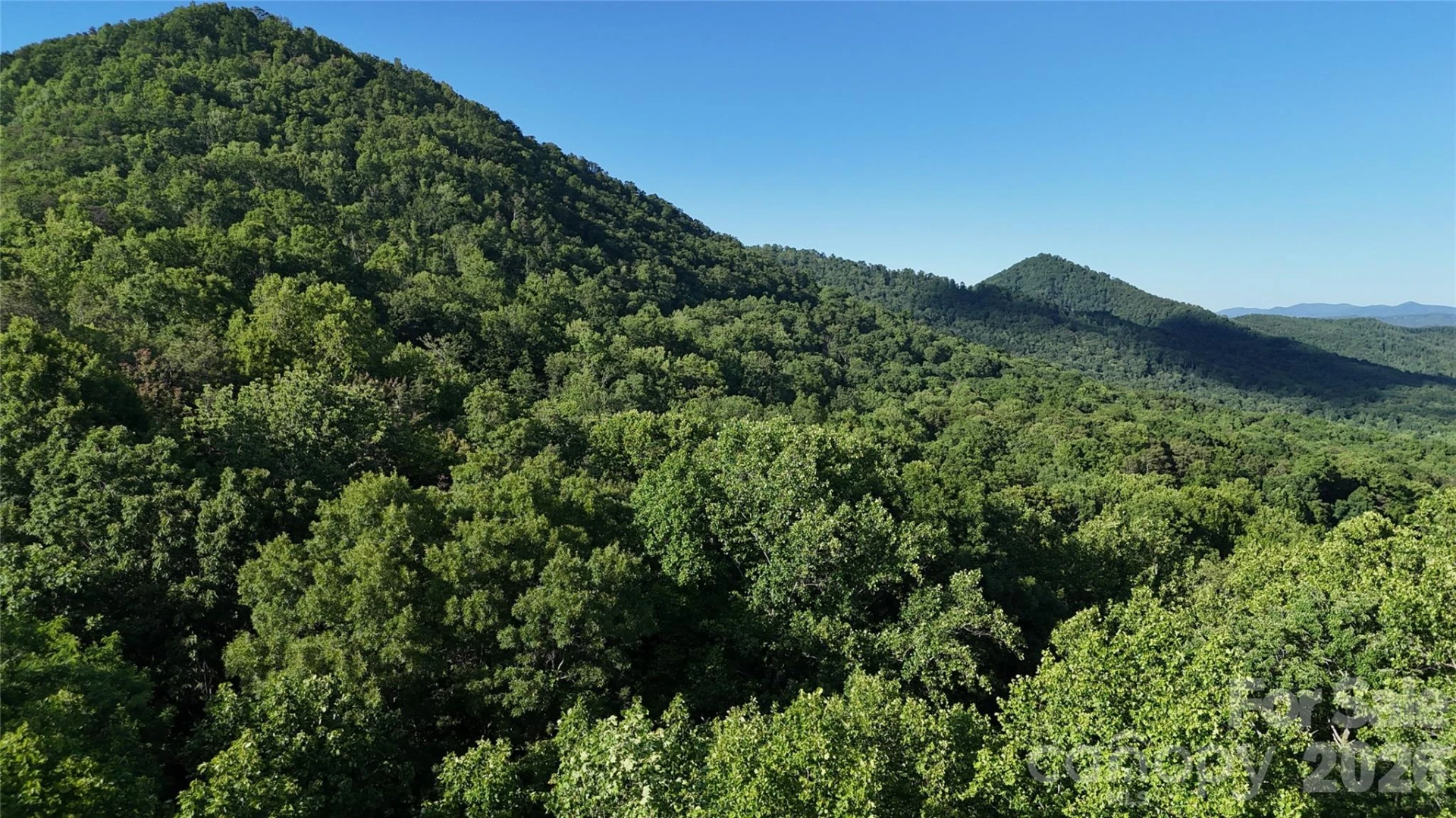Lot 22B Pinnacle Parkway - Photo 25