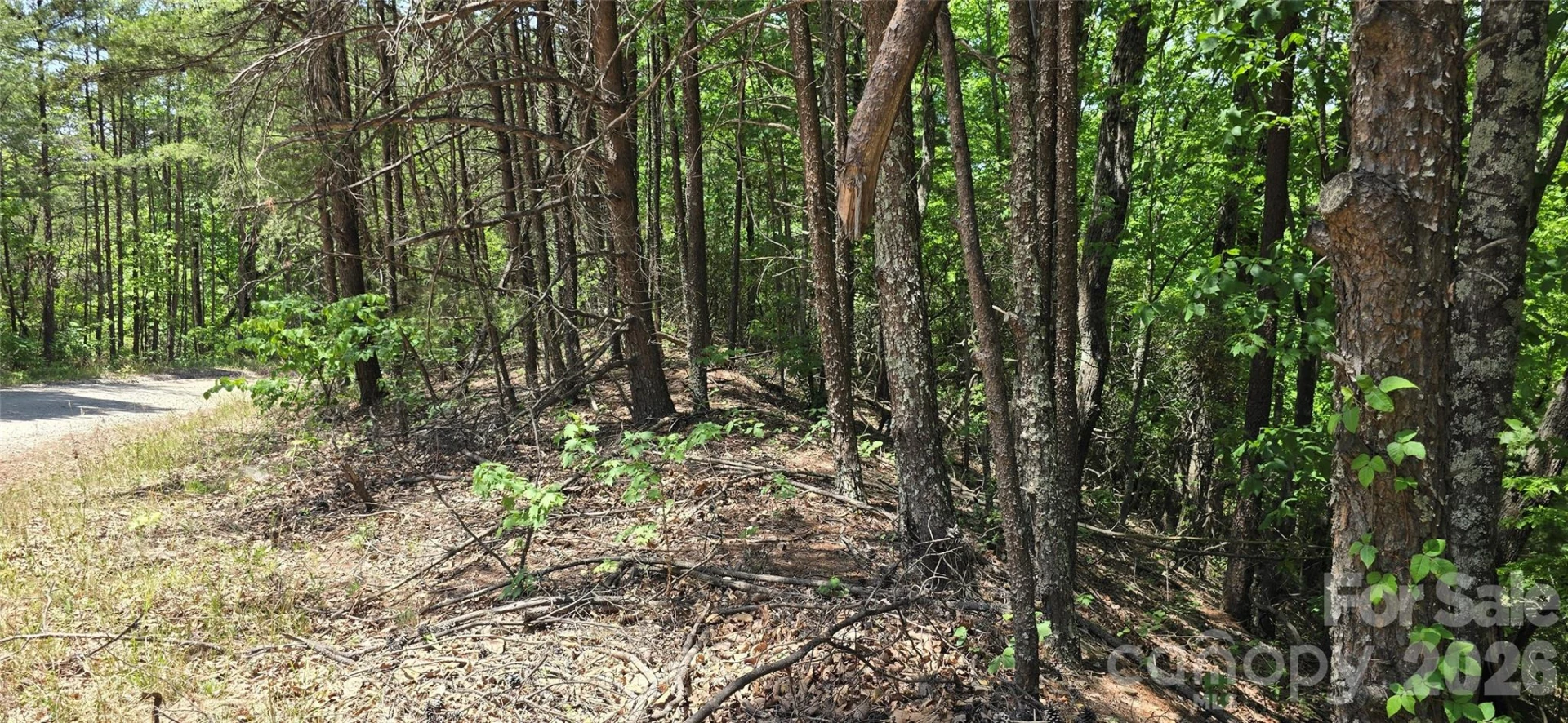 Lot 22B Pinnacle Parkway - Photo 4