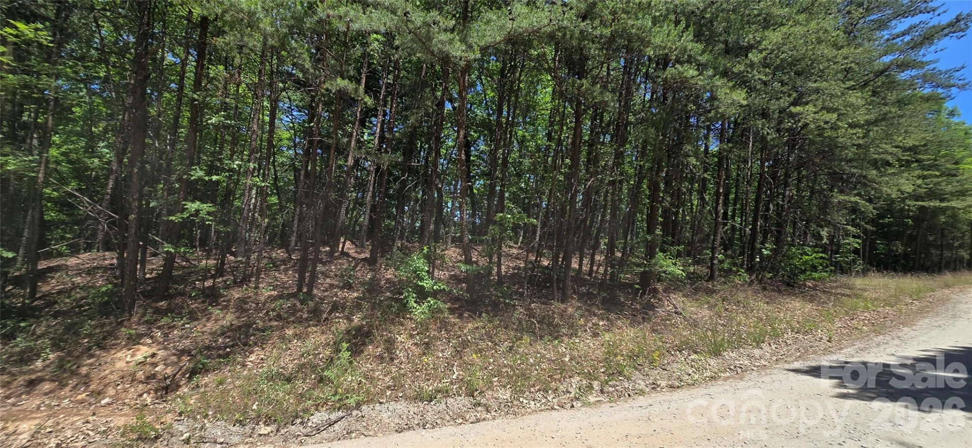 Lot 22B Pinnacle Parkway - Photo 5