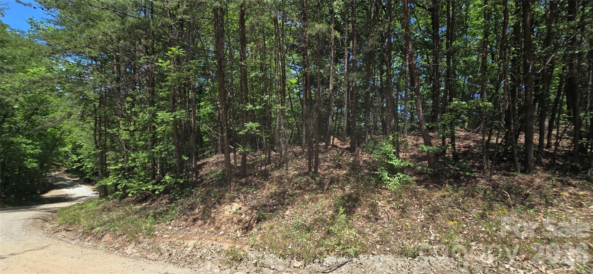 Lot 22B Pinnacle Parkway - Photo 6
